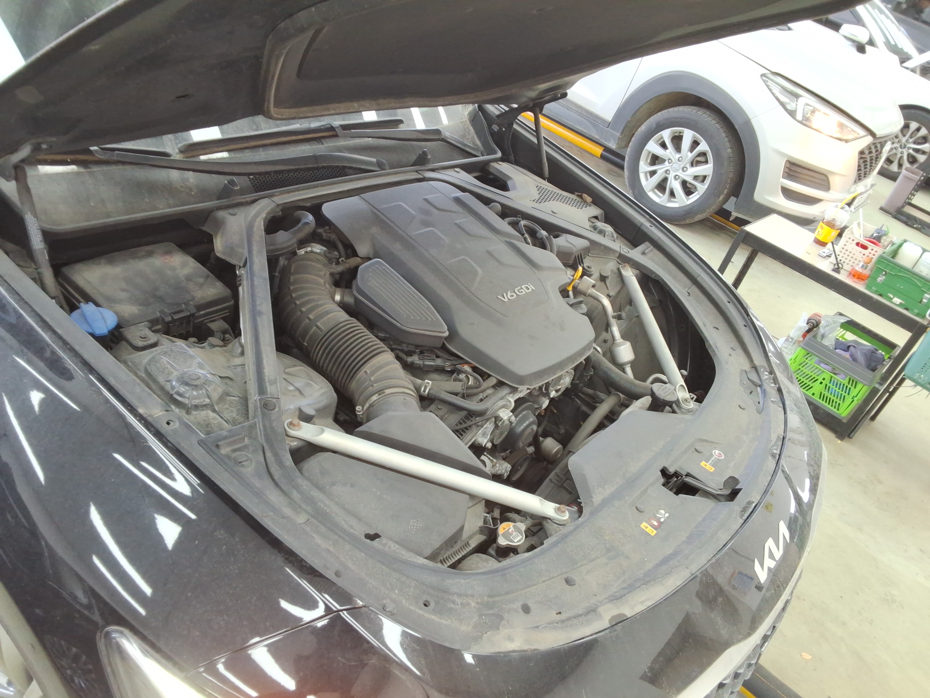 صورة إضافية