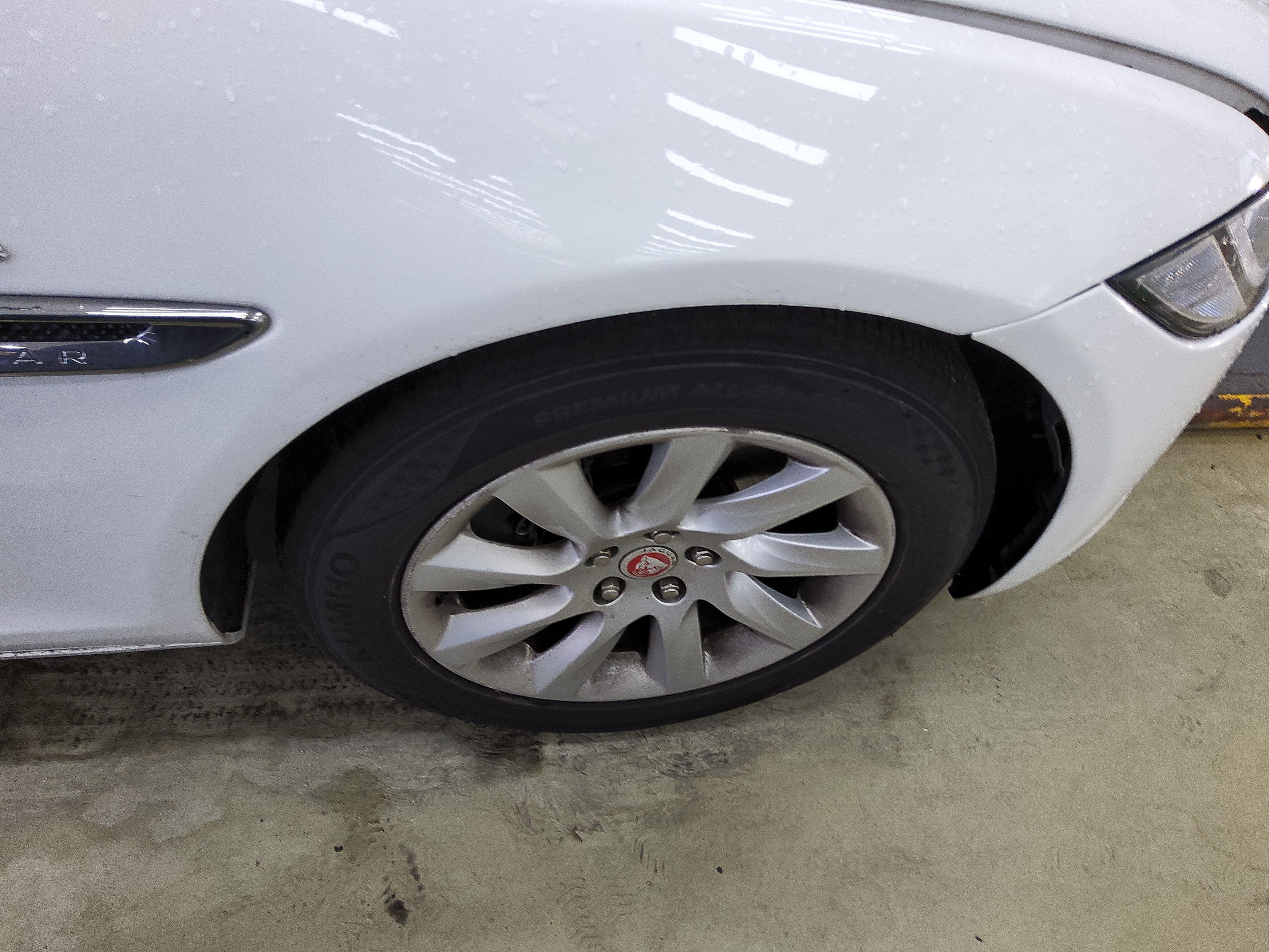 جاقوار XF