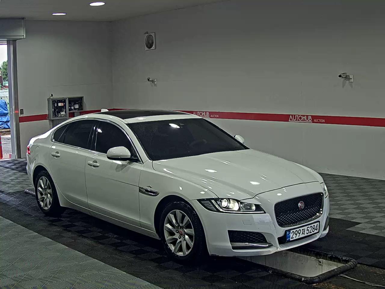 جاقوار XF