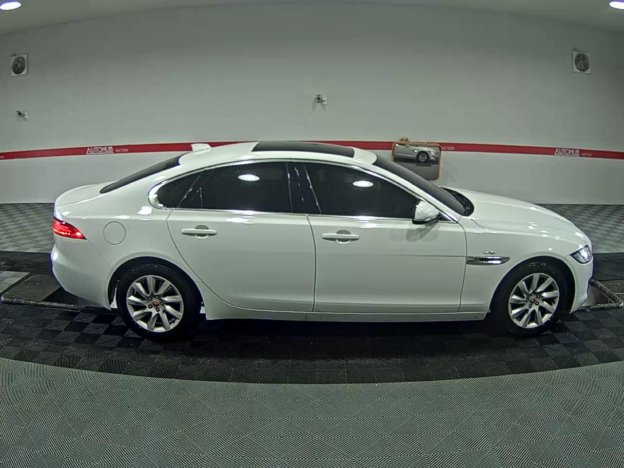 جاقوار XF