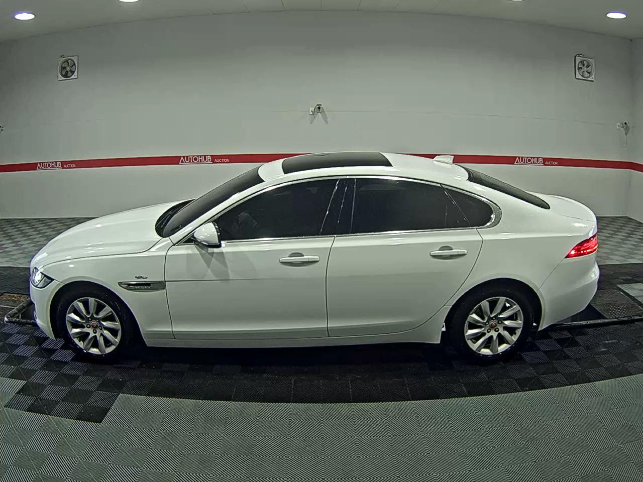جاقوار XF