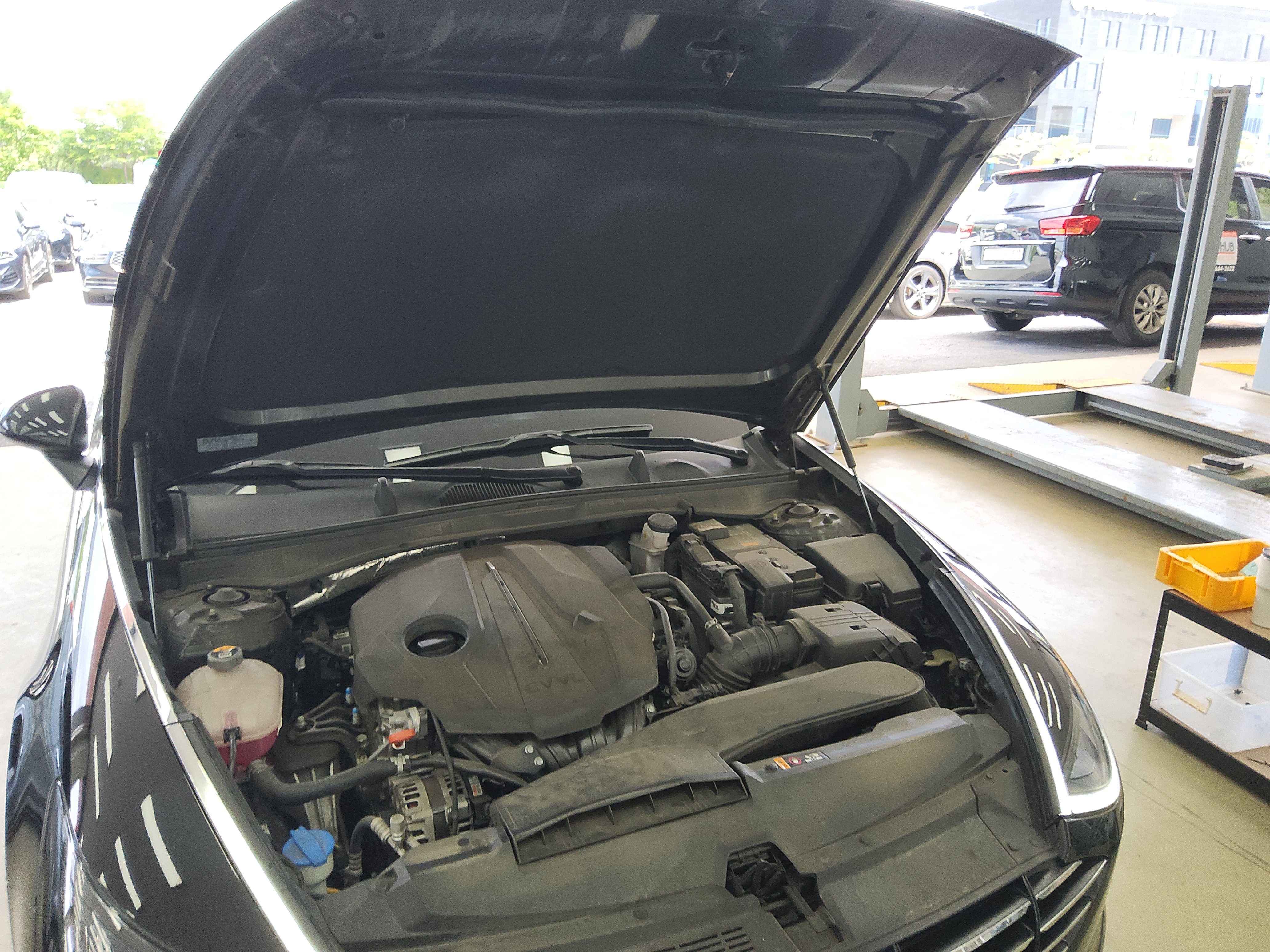 صورة إضافية