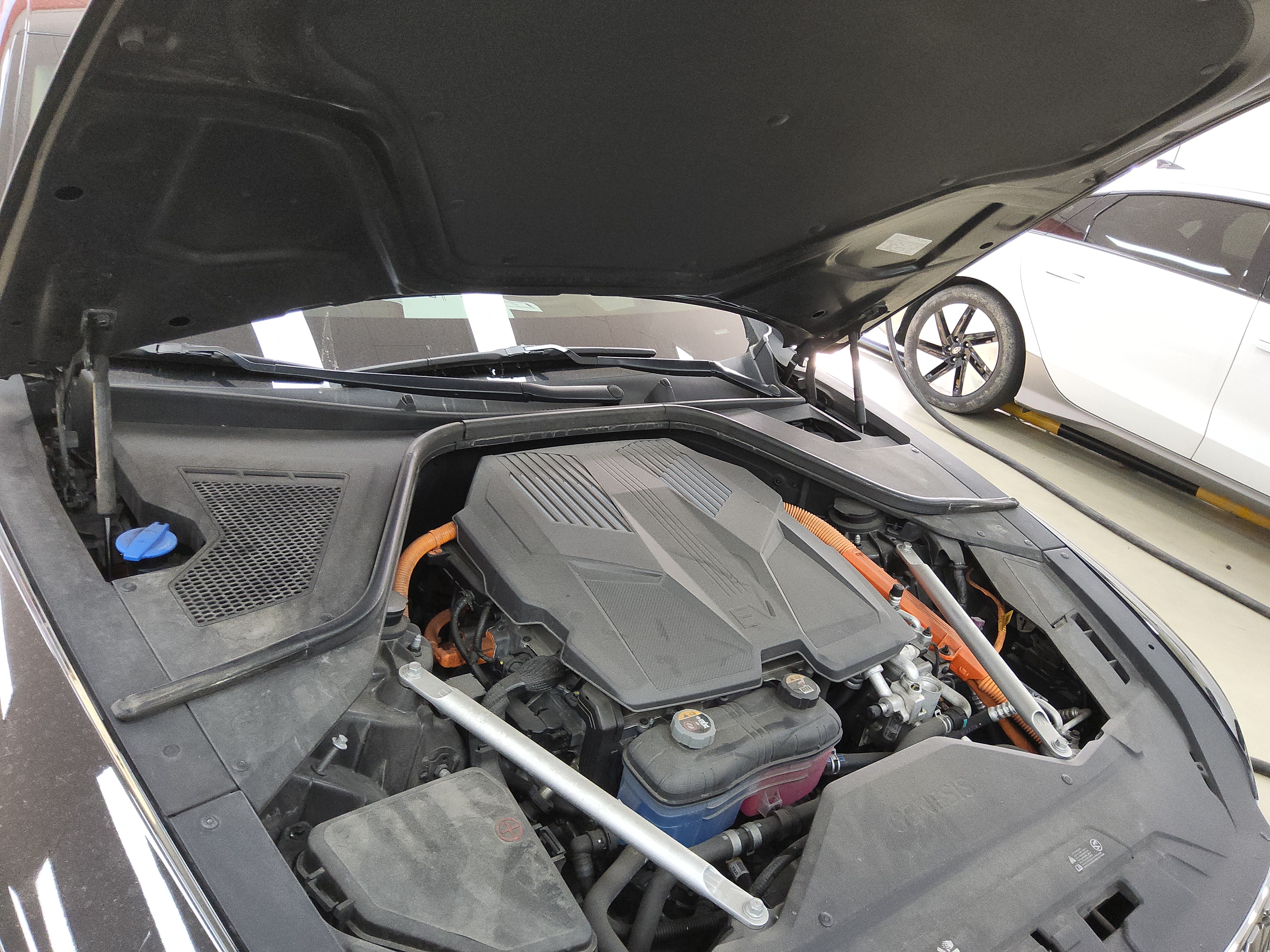 صورة إضافية