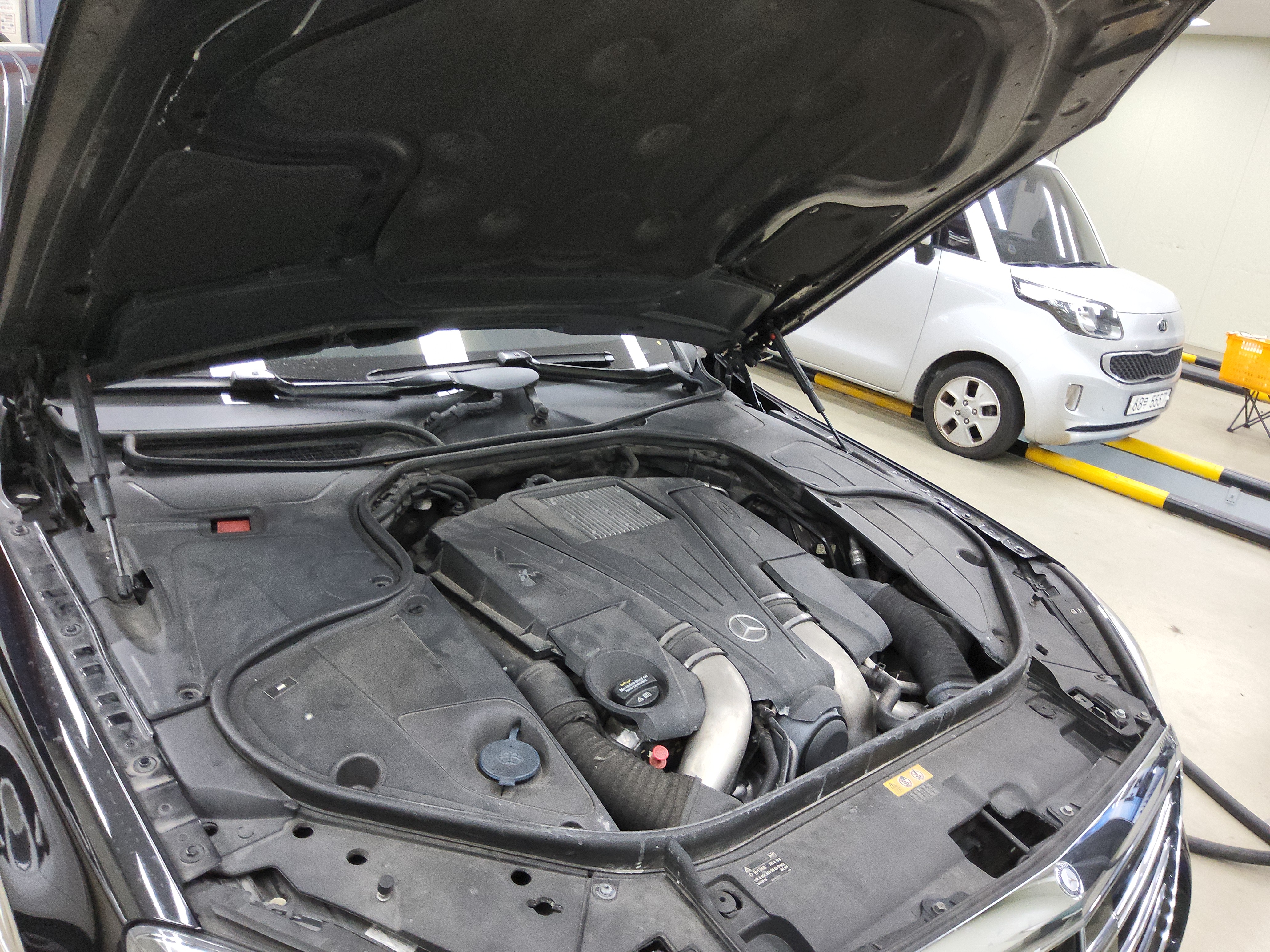 صورة إضافية