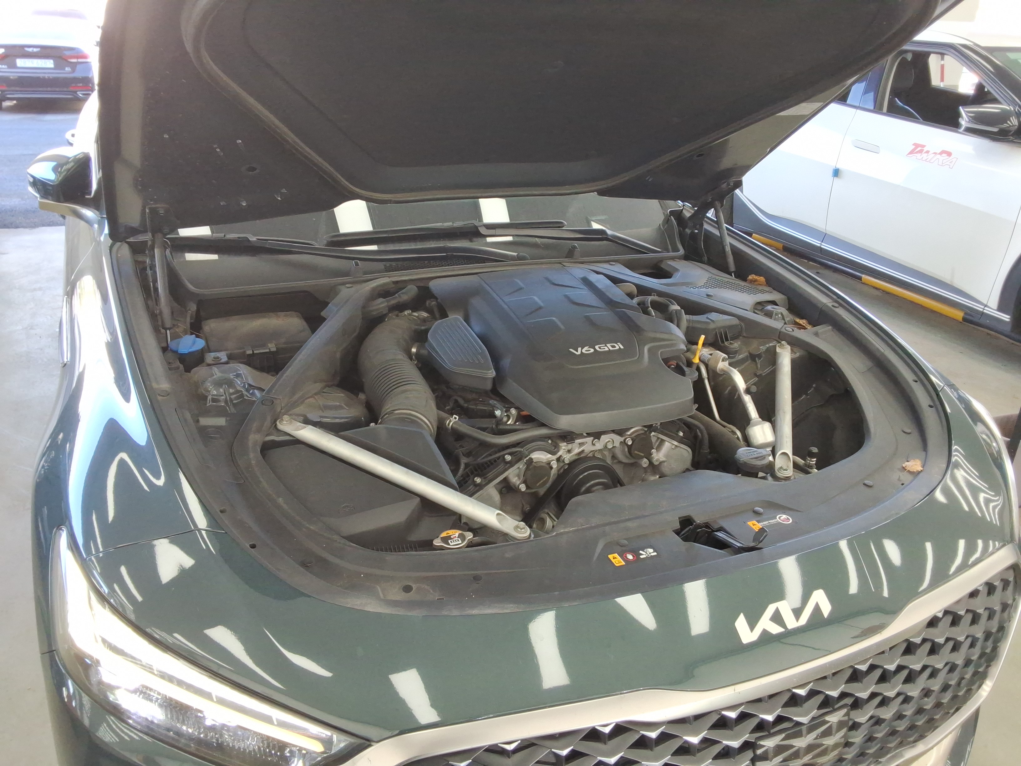 صورة إضافية