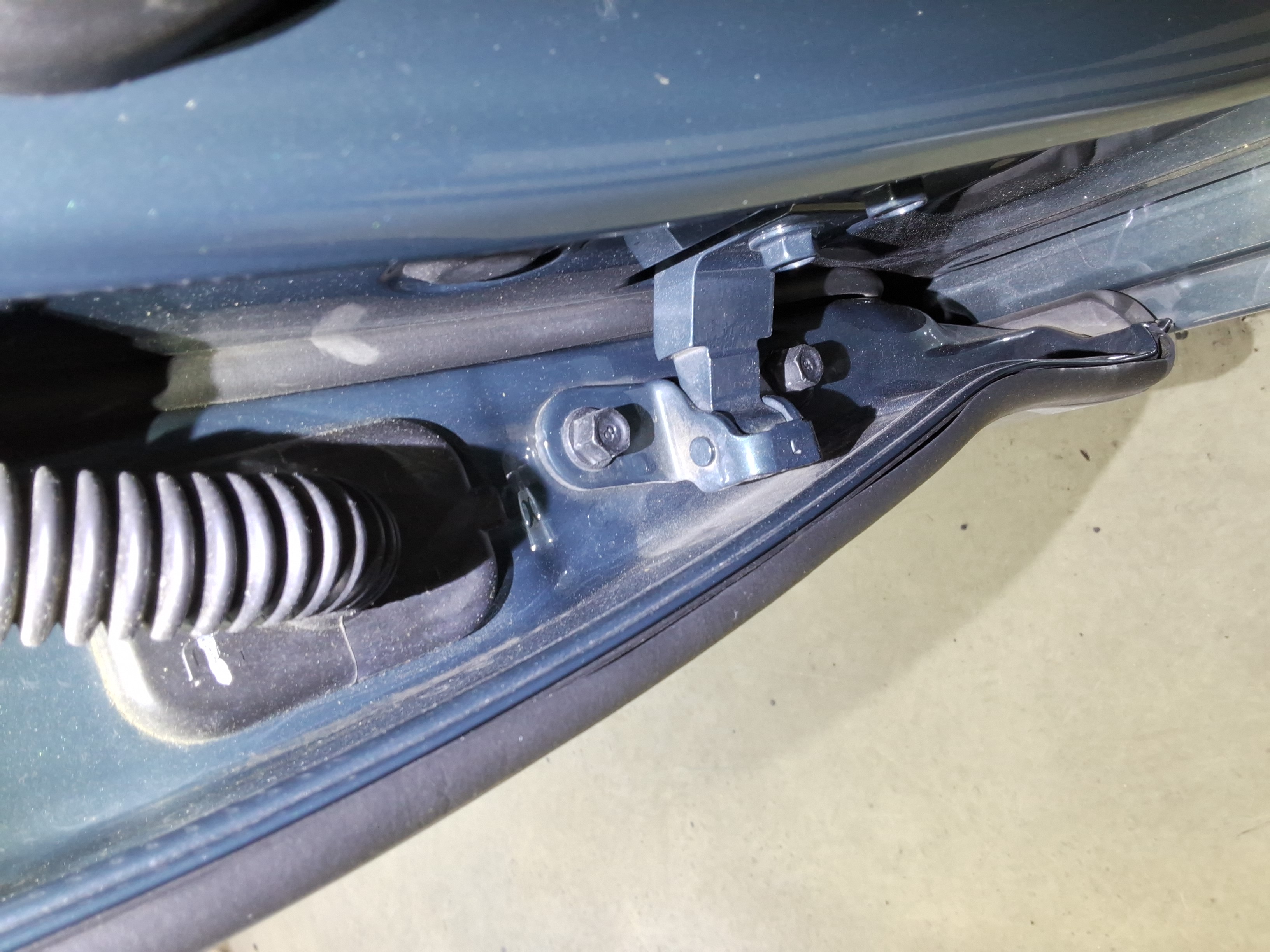 صورة إضافية