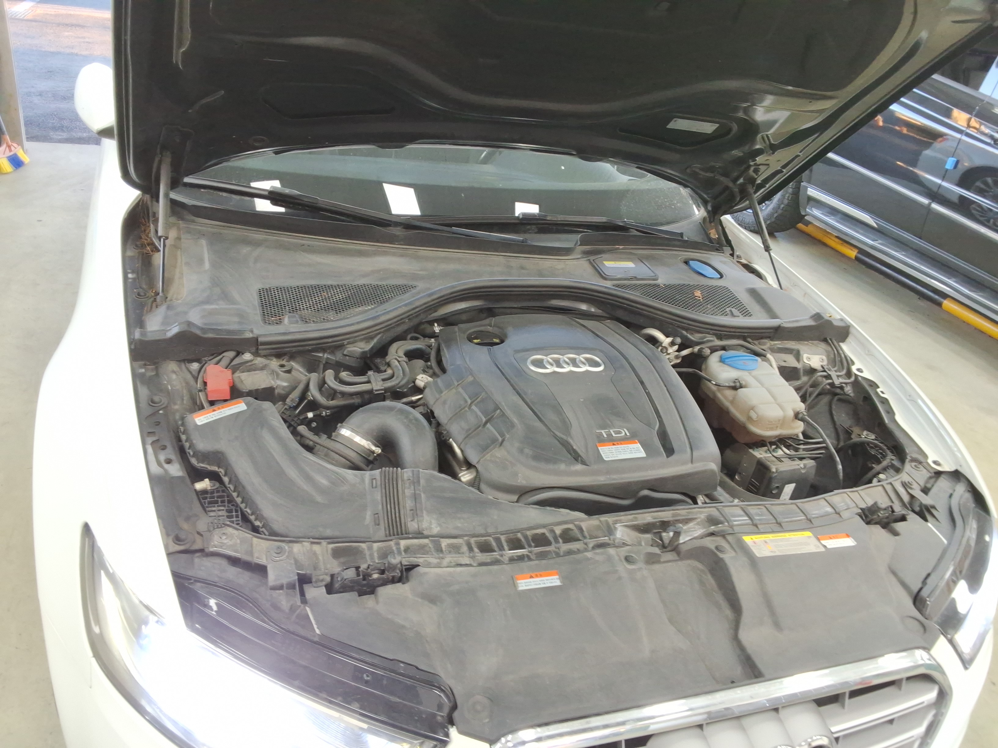 صورة إضافية