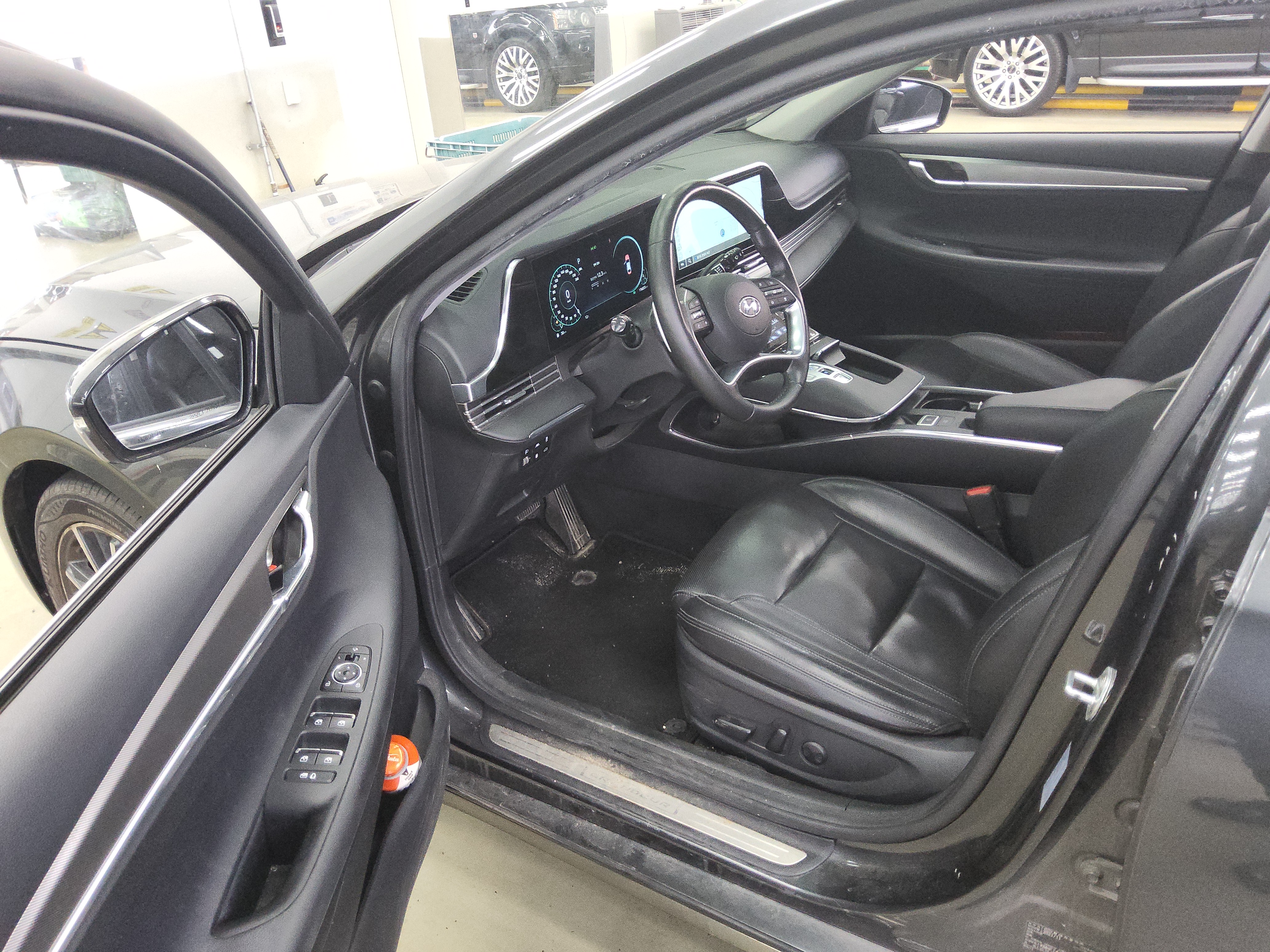 صورة إضافية