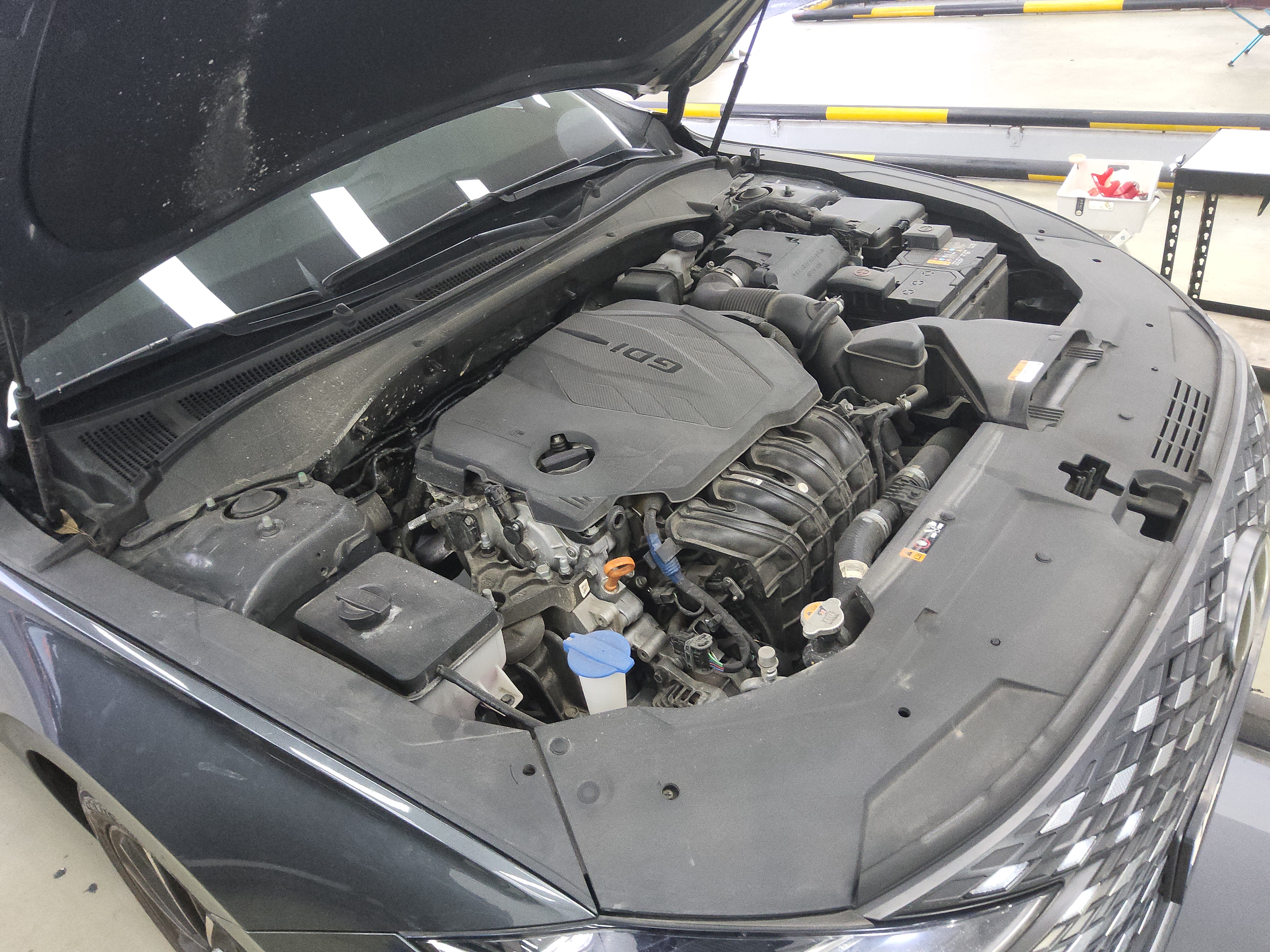 صورة إضافية