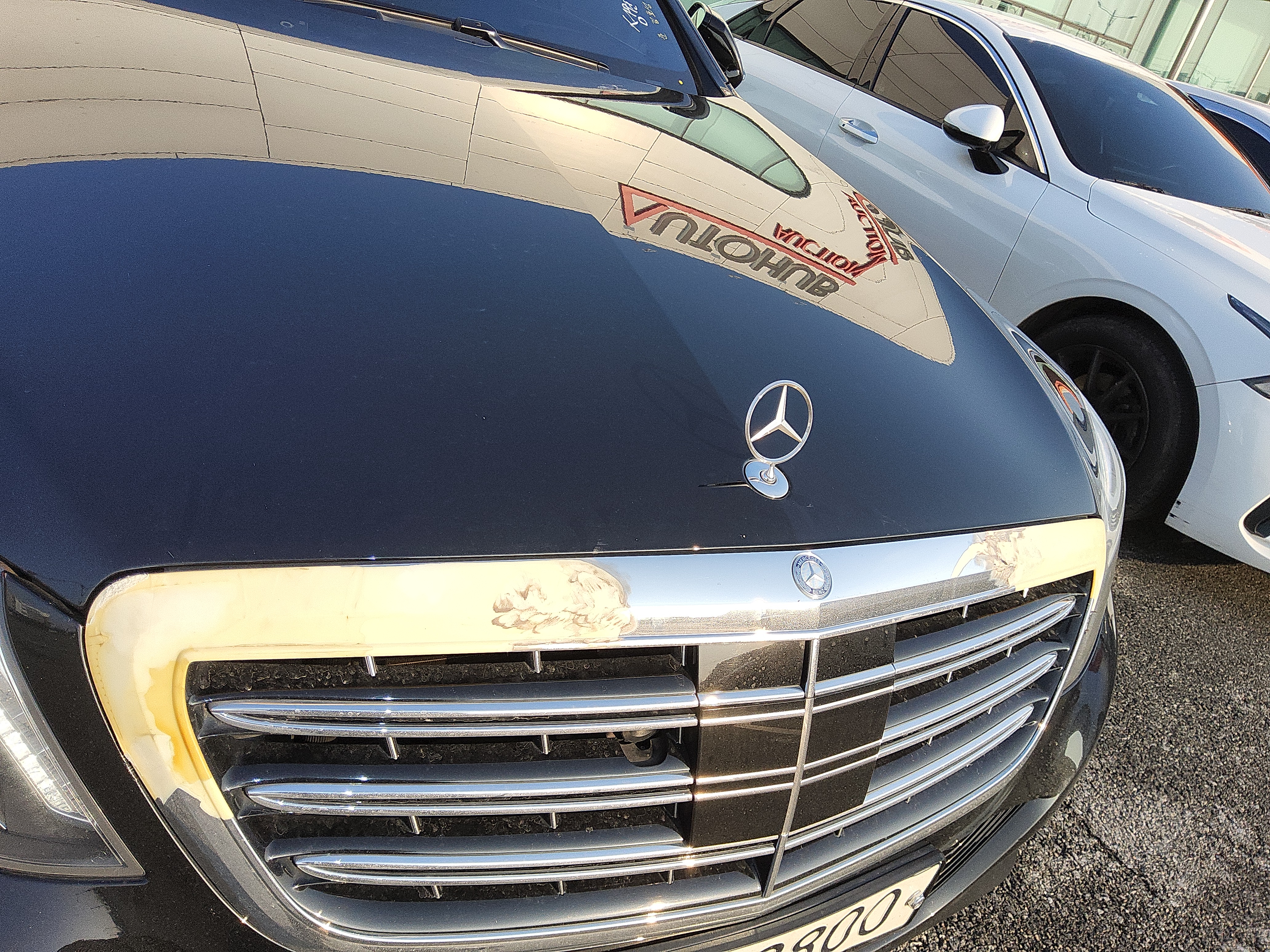 صورة إضافية