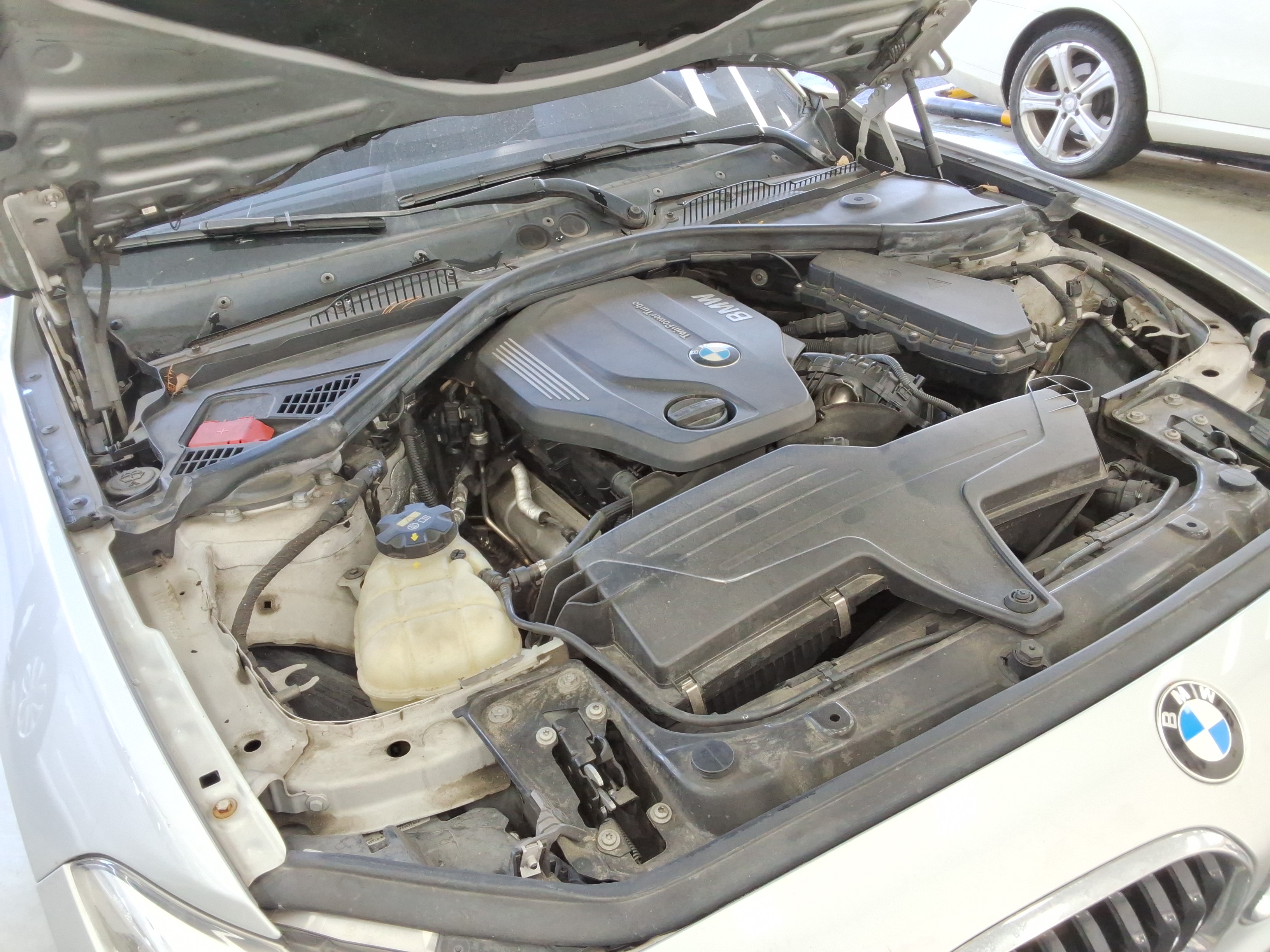 صورة إضافية