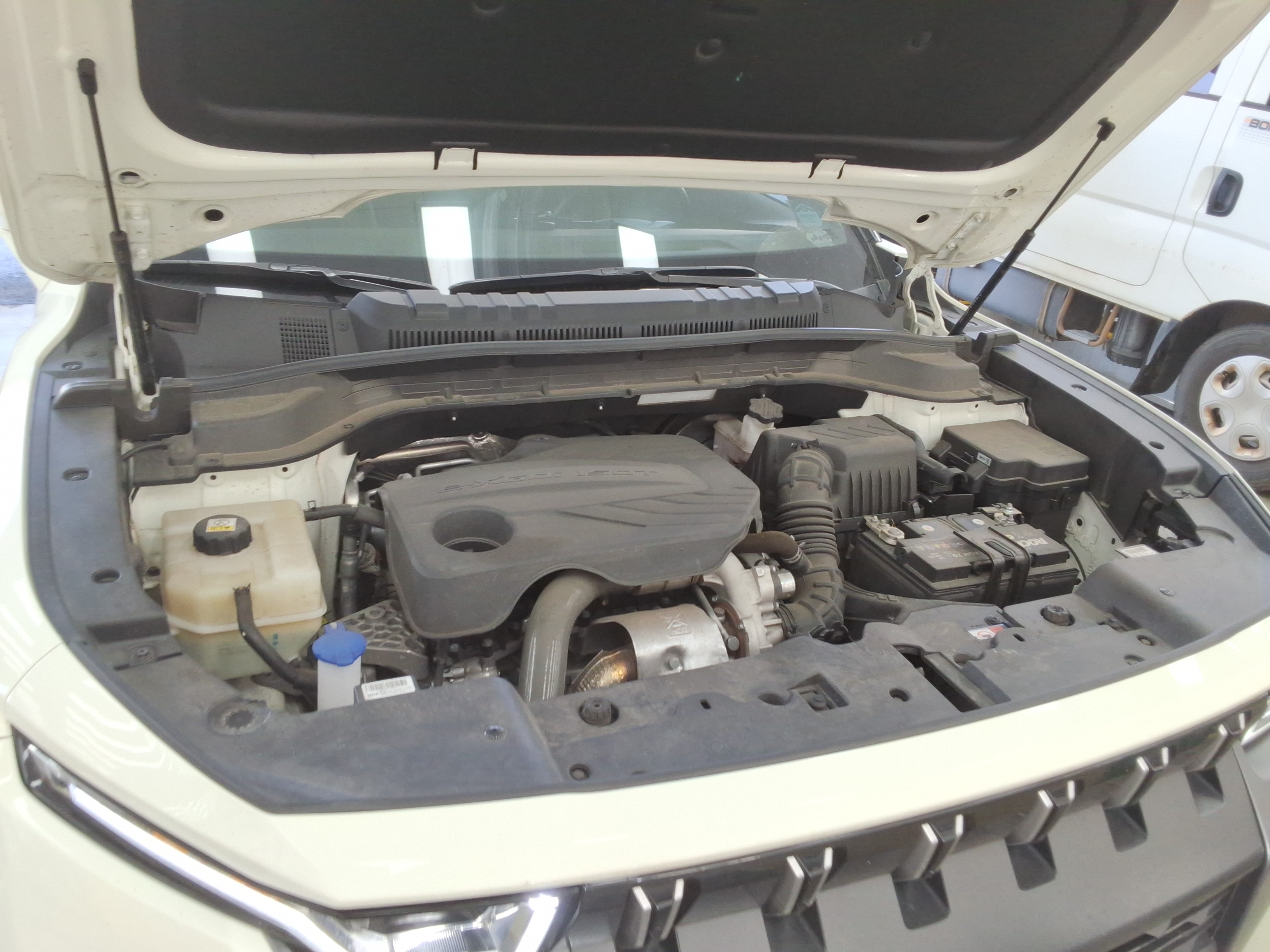 صورة إضافية