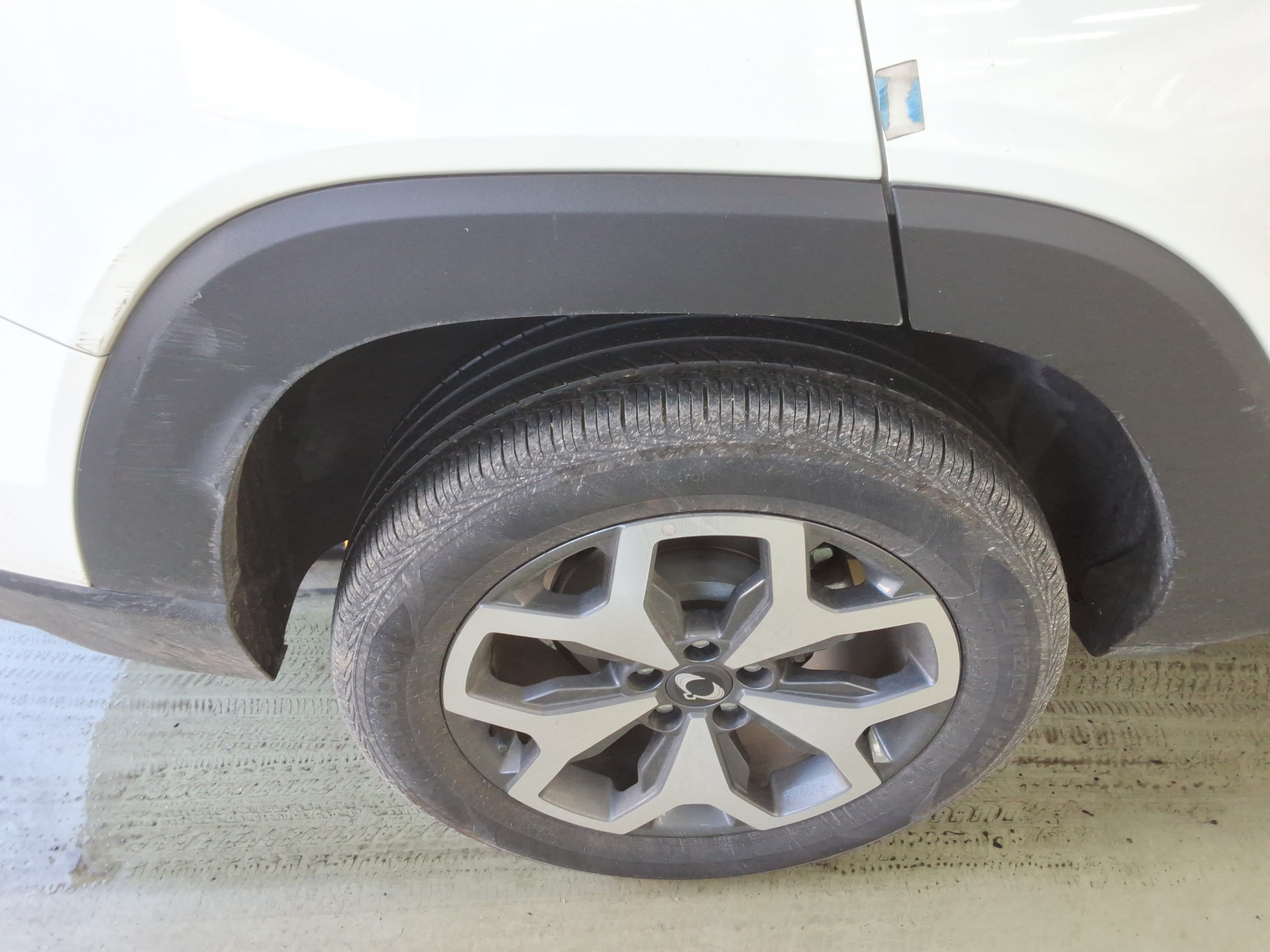 صورة إضافية