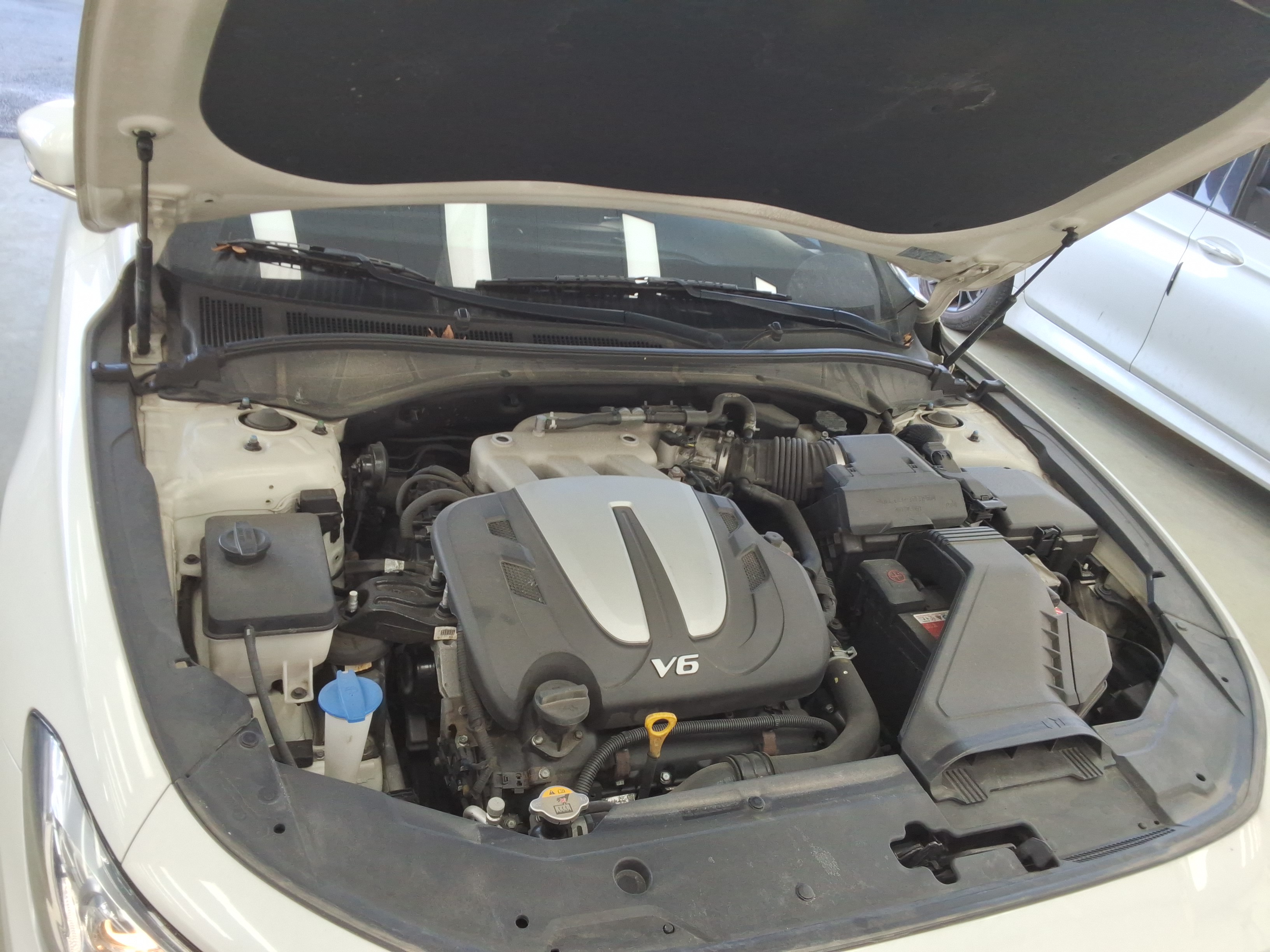 صورة إضافية