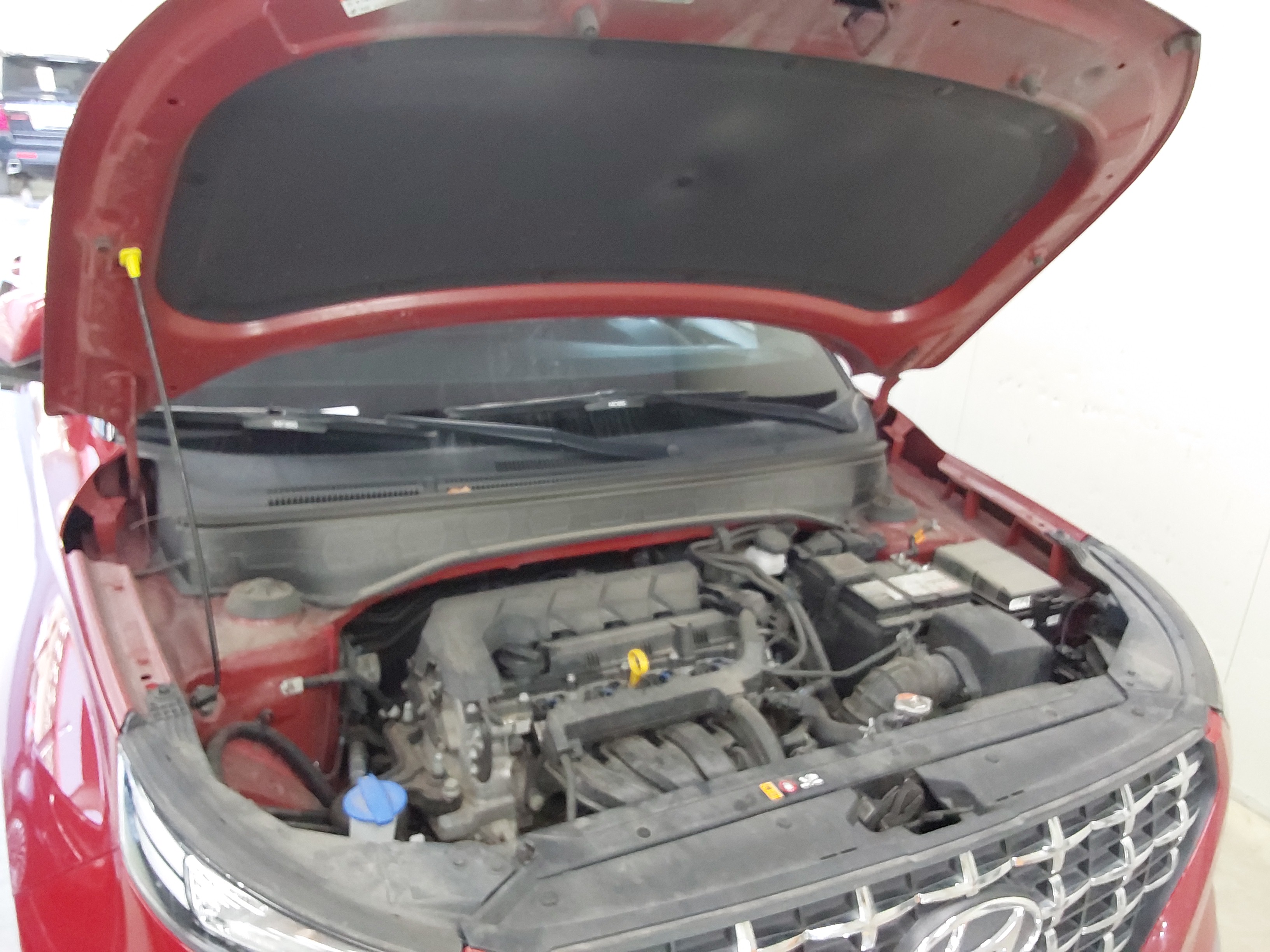 صورة إضافية