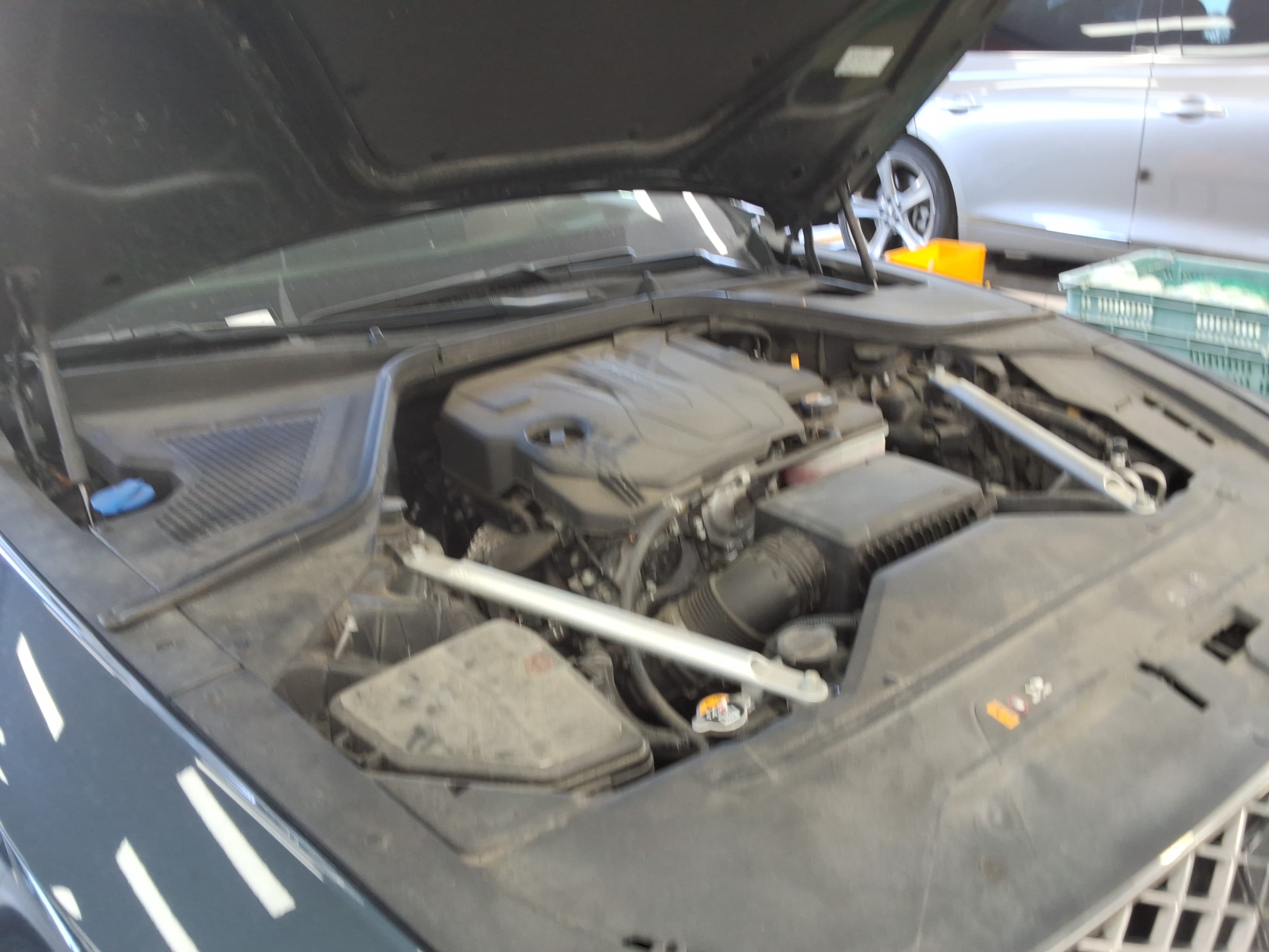 صورة إضافية