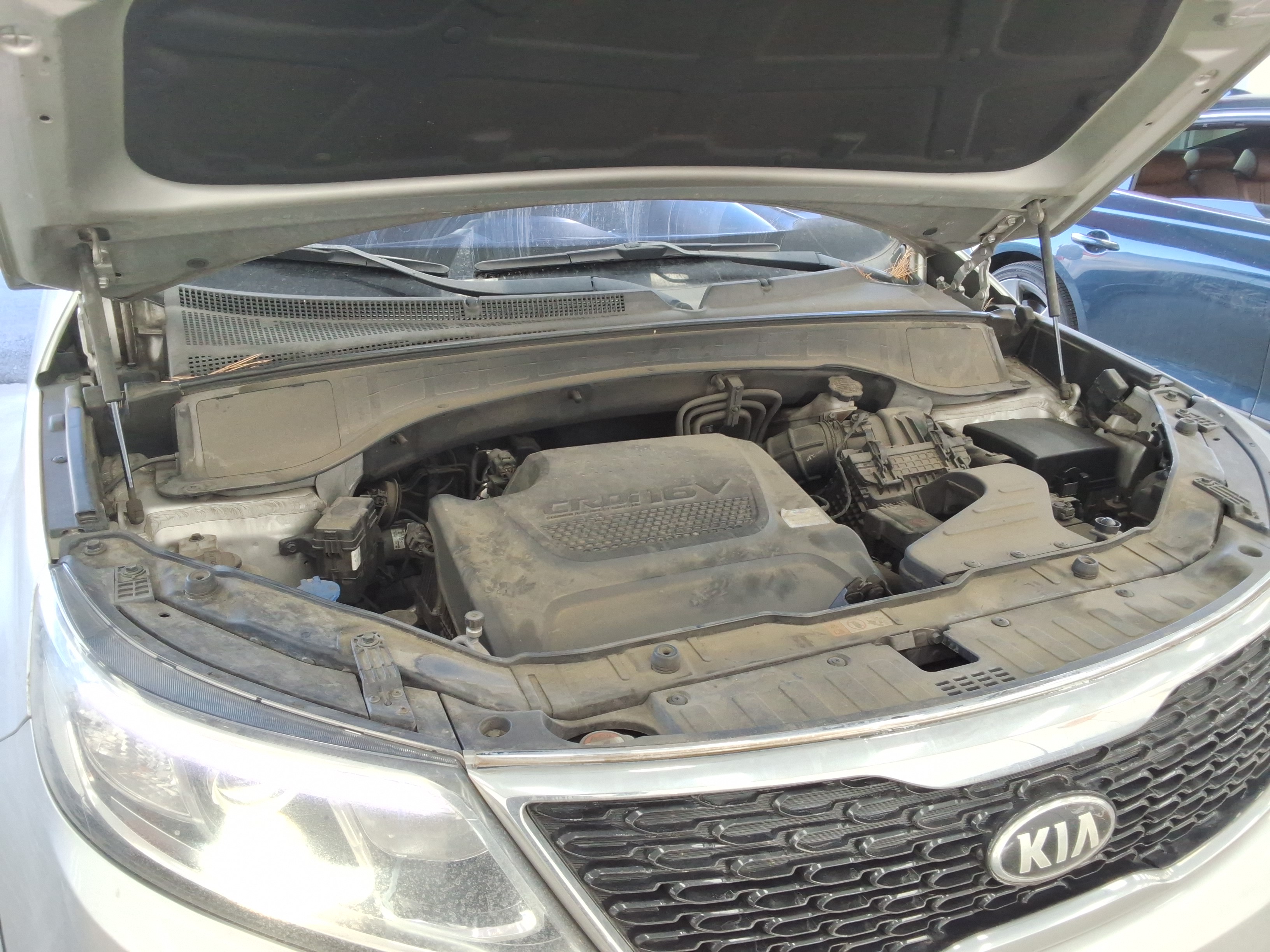 صورة إضافية