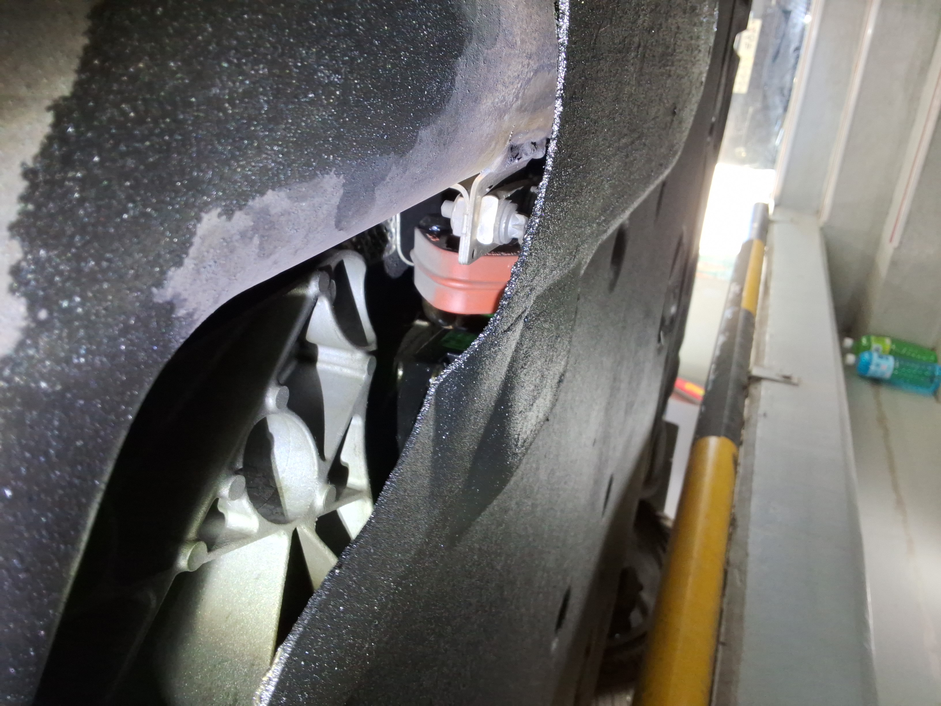 صورة إضافية