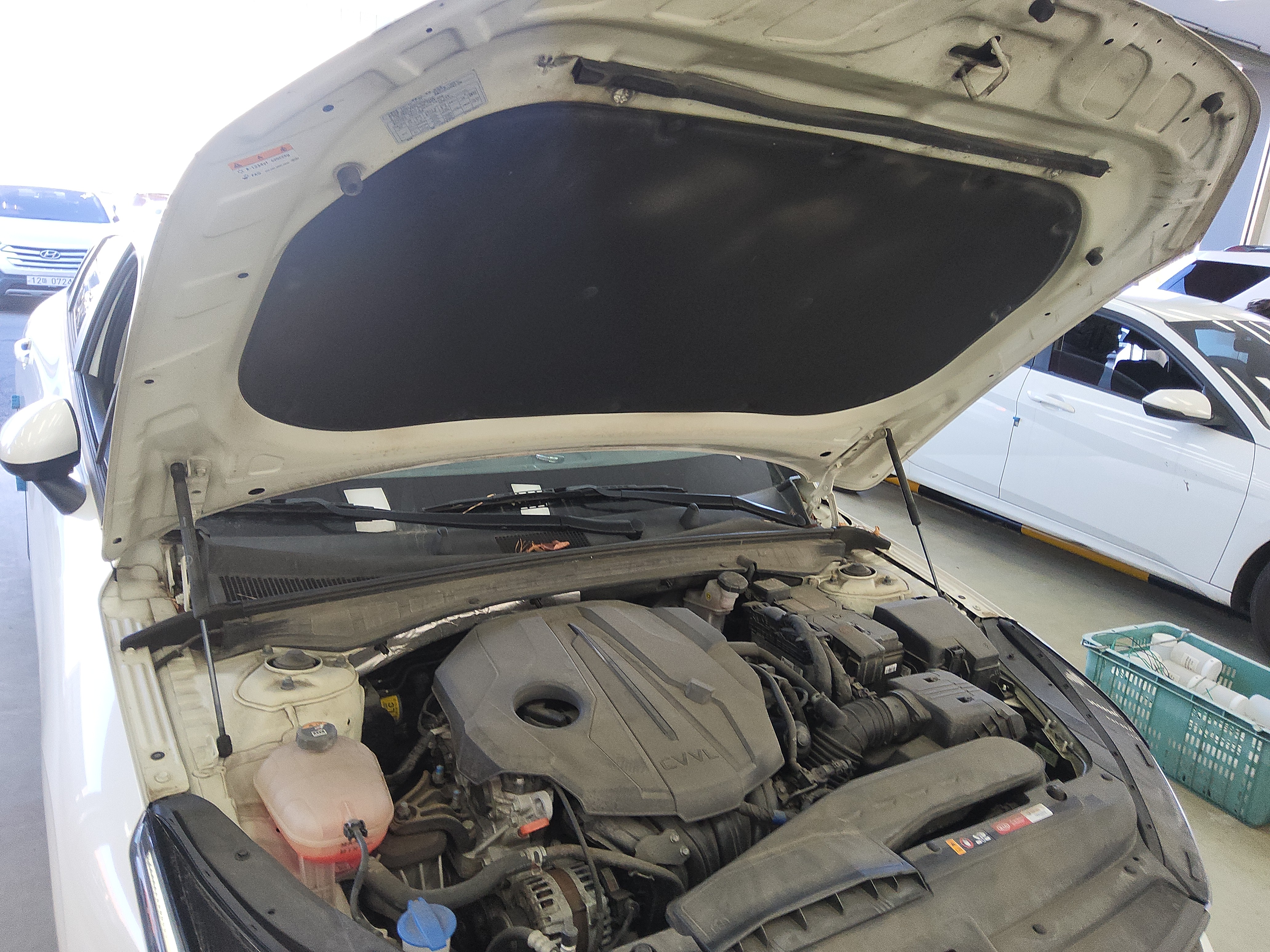 صورة إضافية