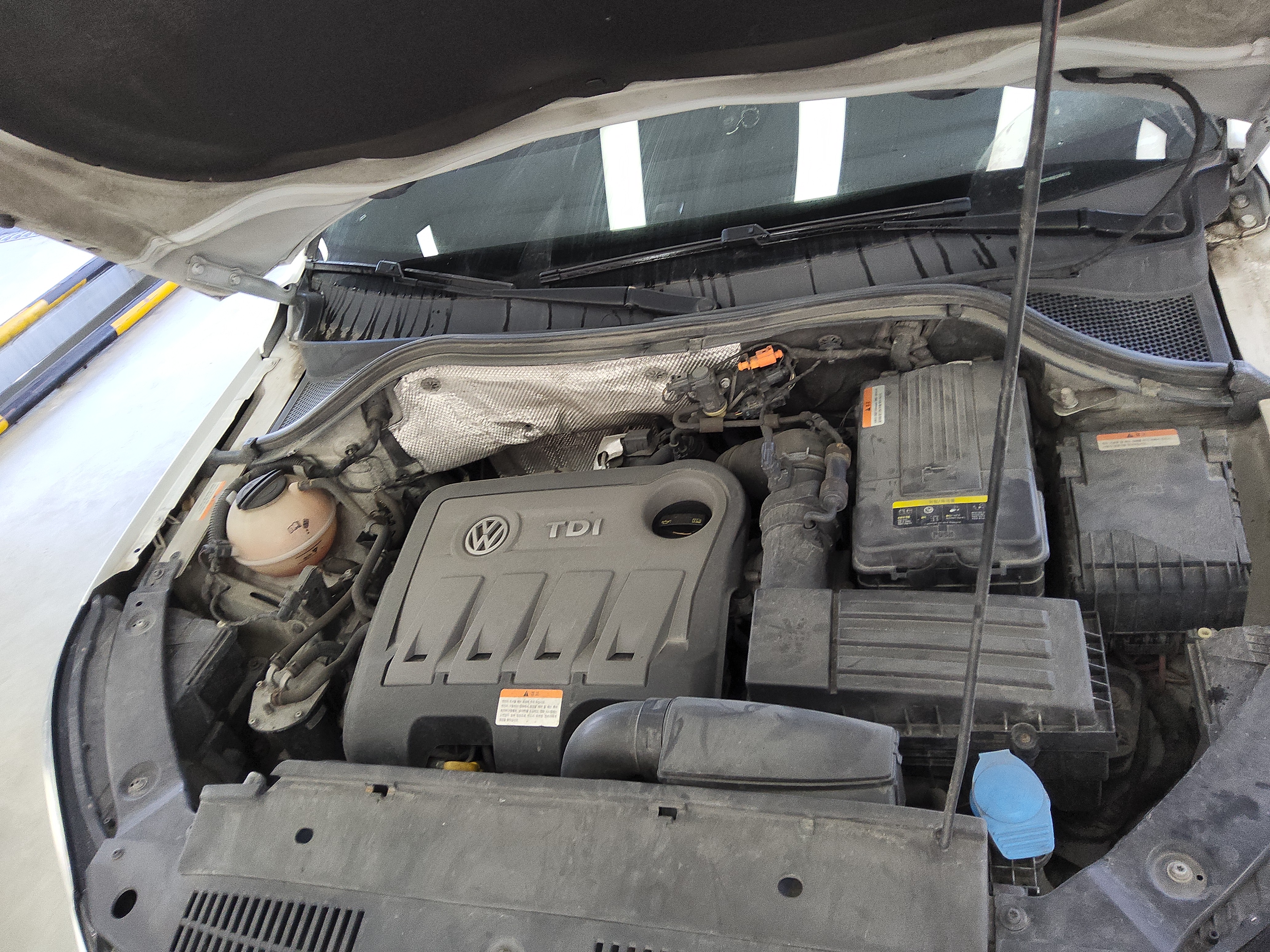 صورة إضافية