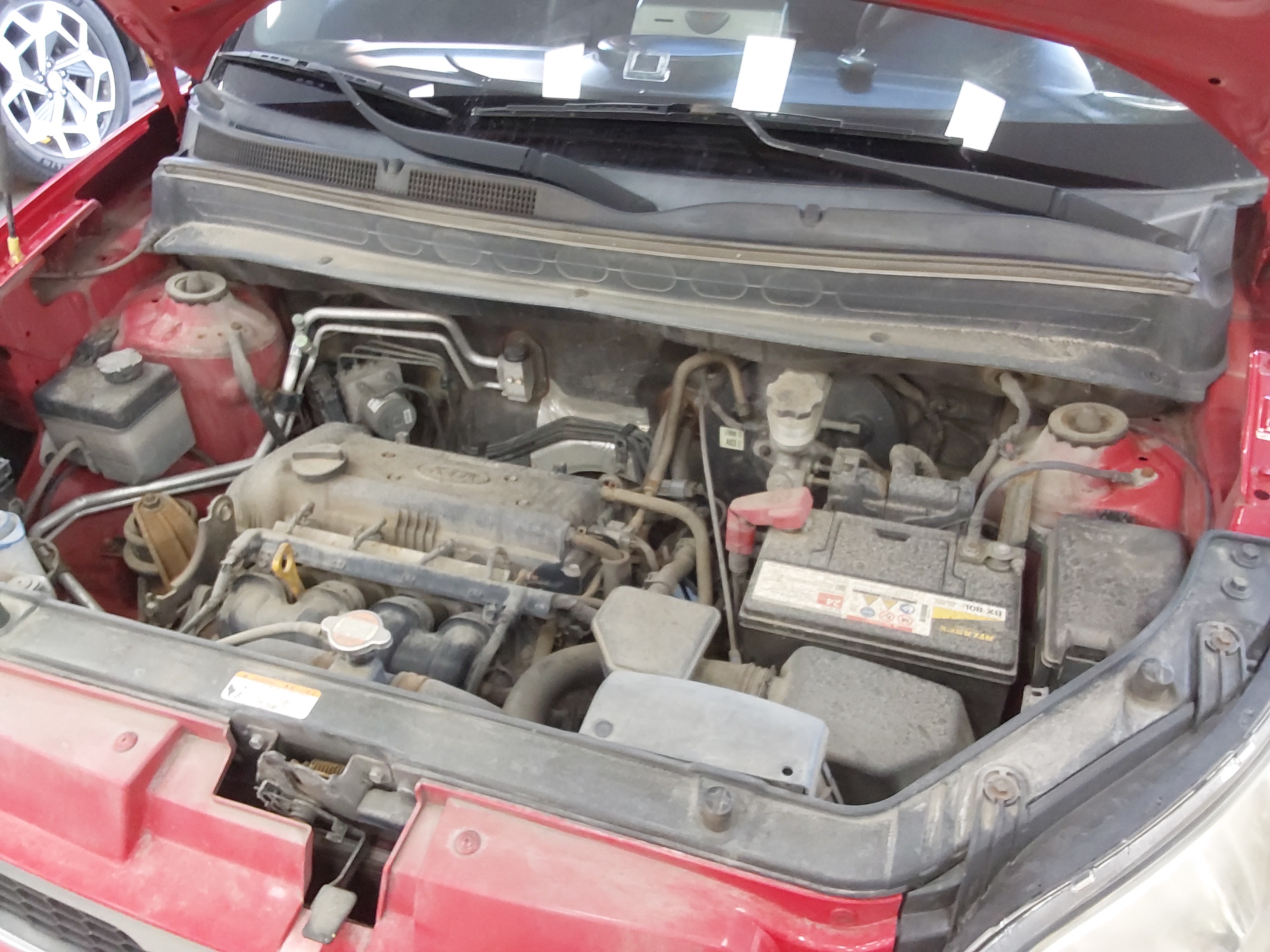 صورة إضافية