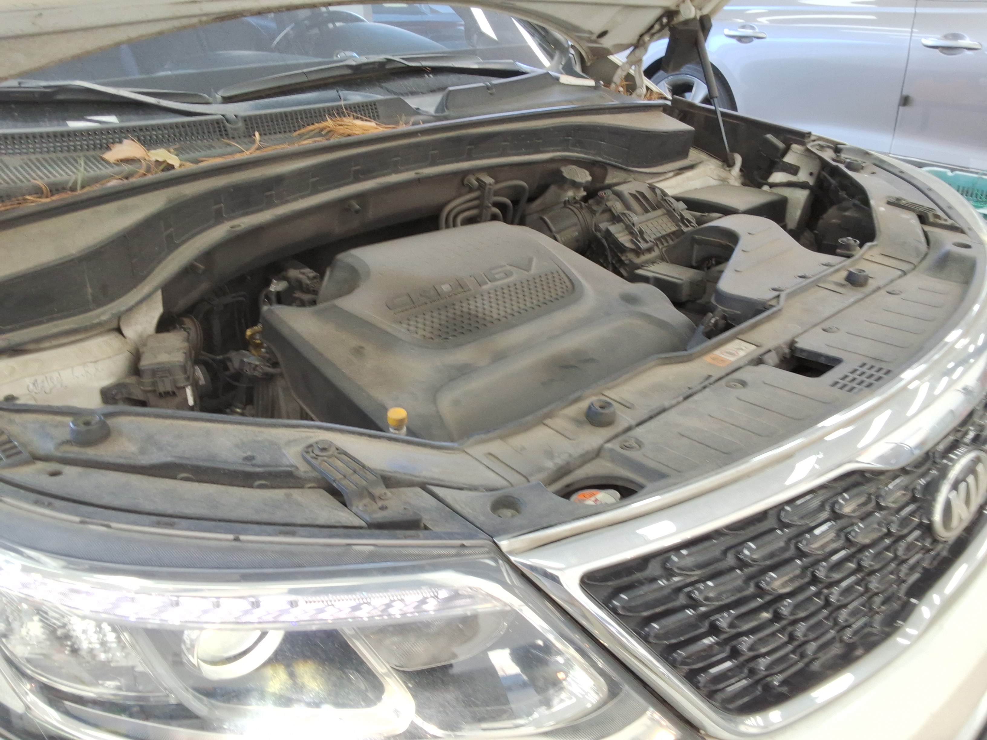 صورة إضافية