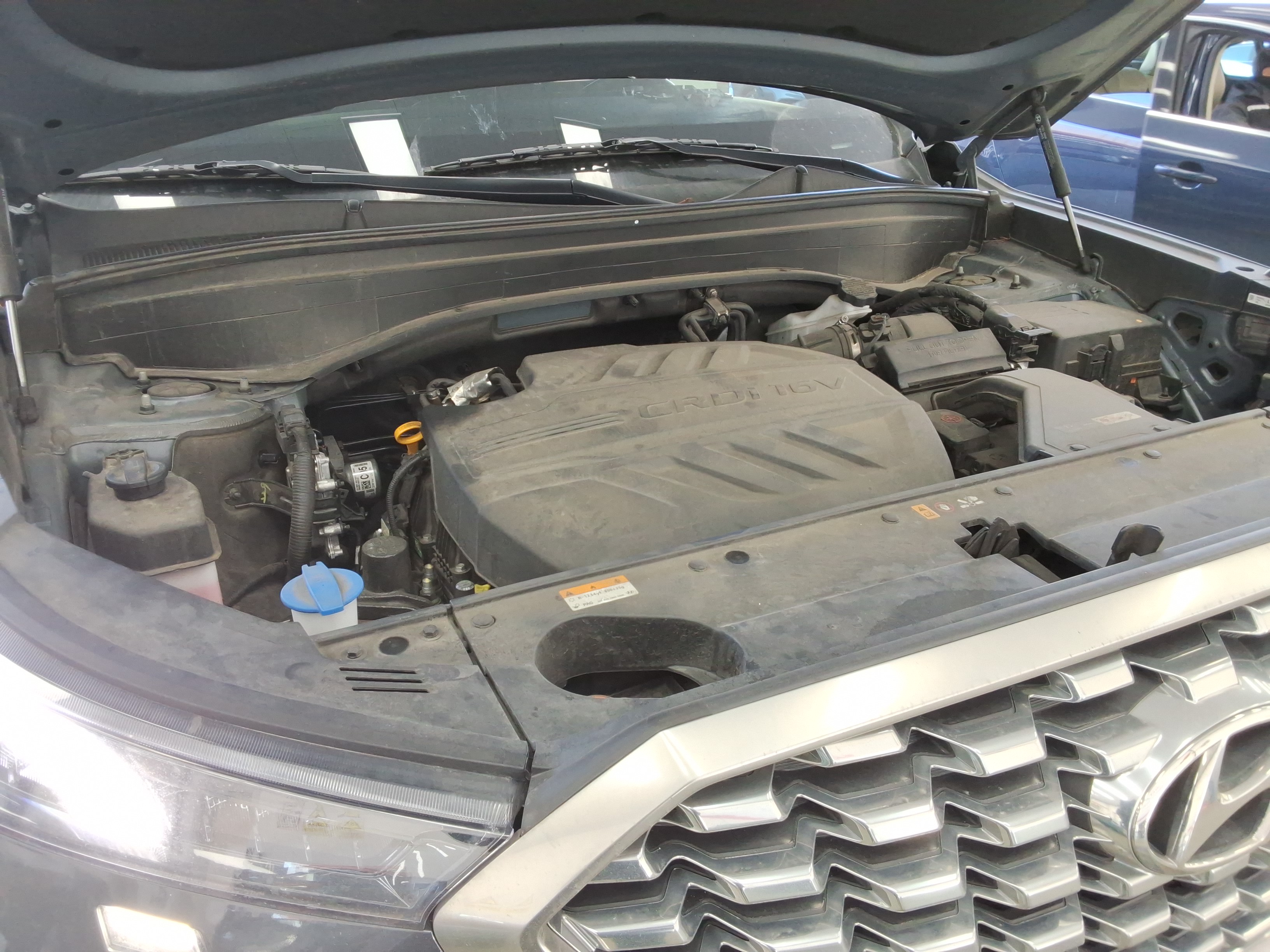 صورة إضافية