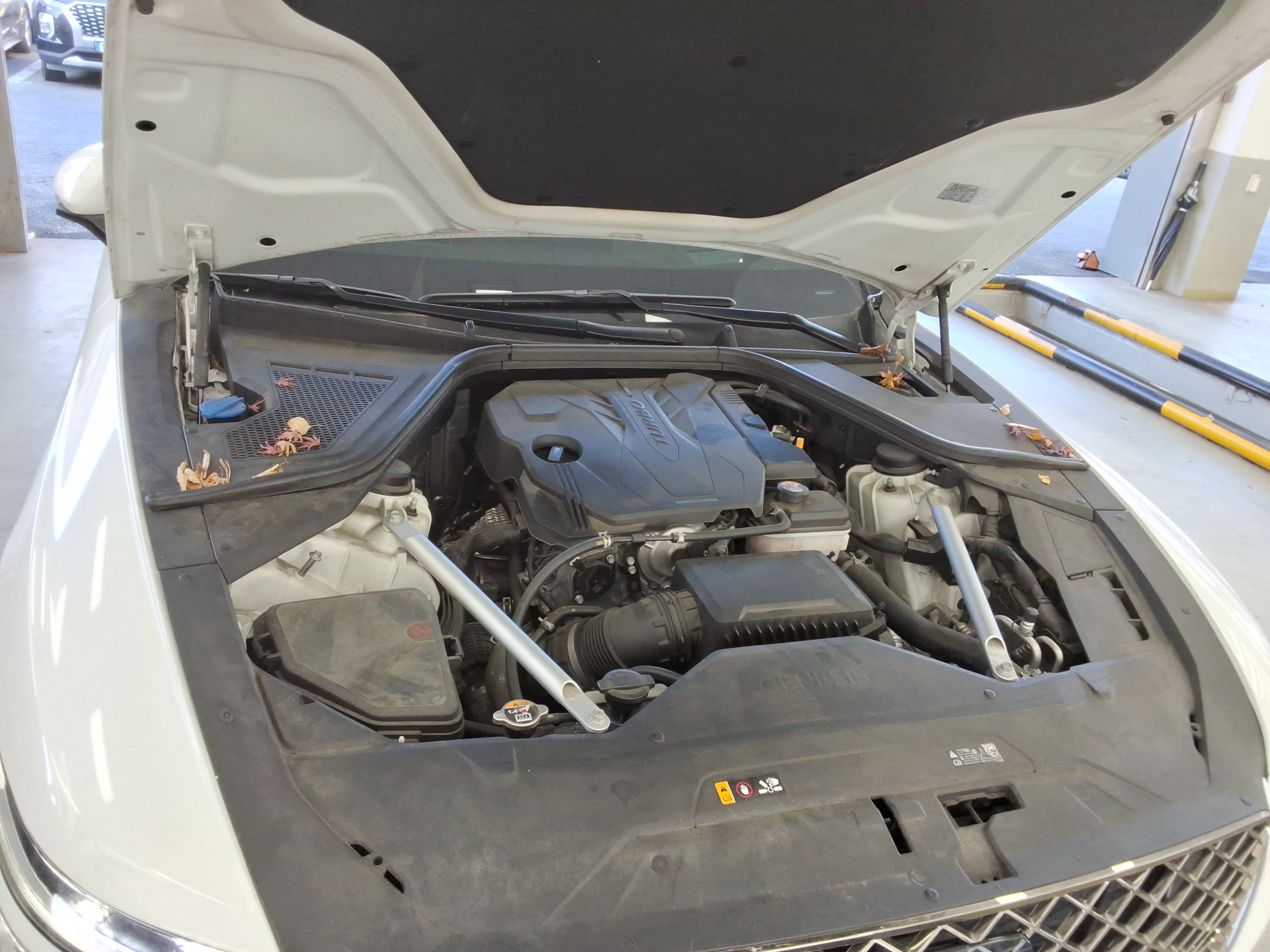 صورة إضافية