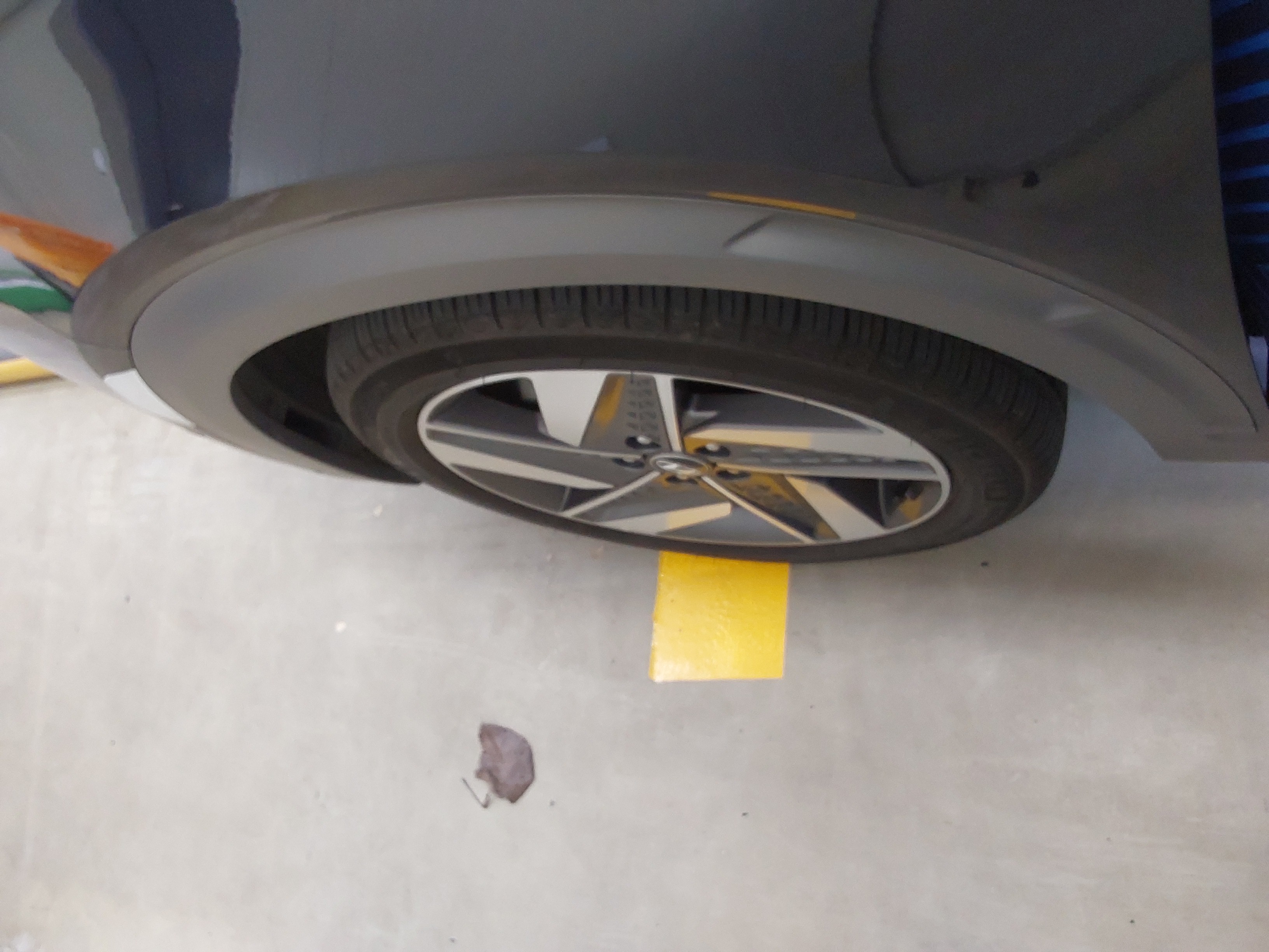 صورة إضافية