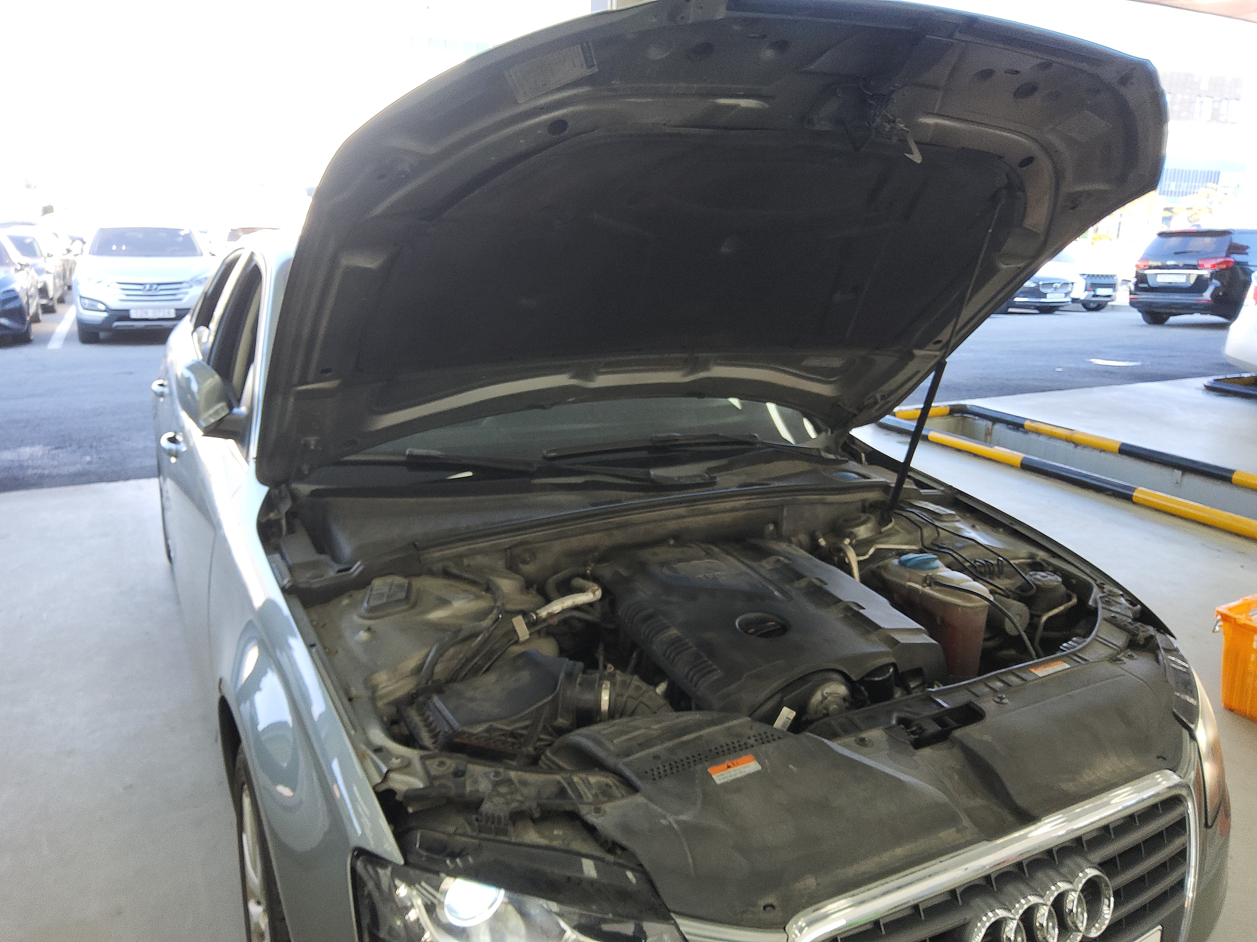 صورة إضافية