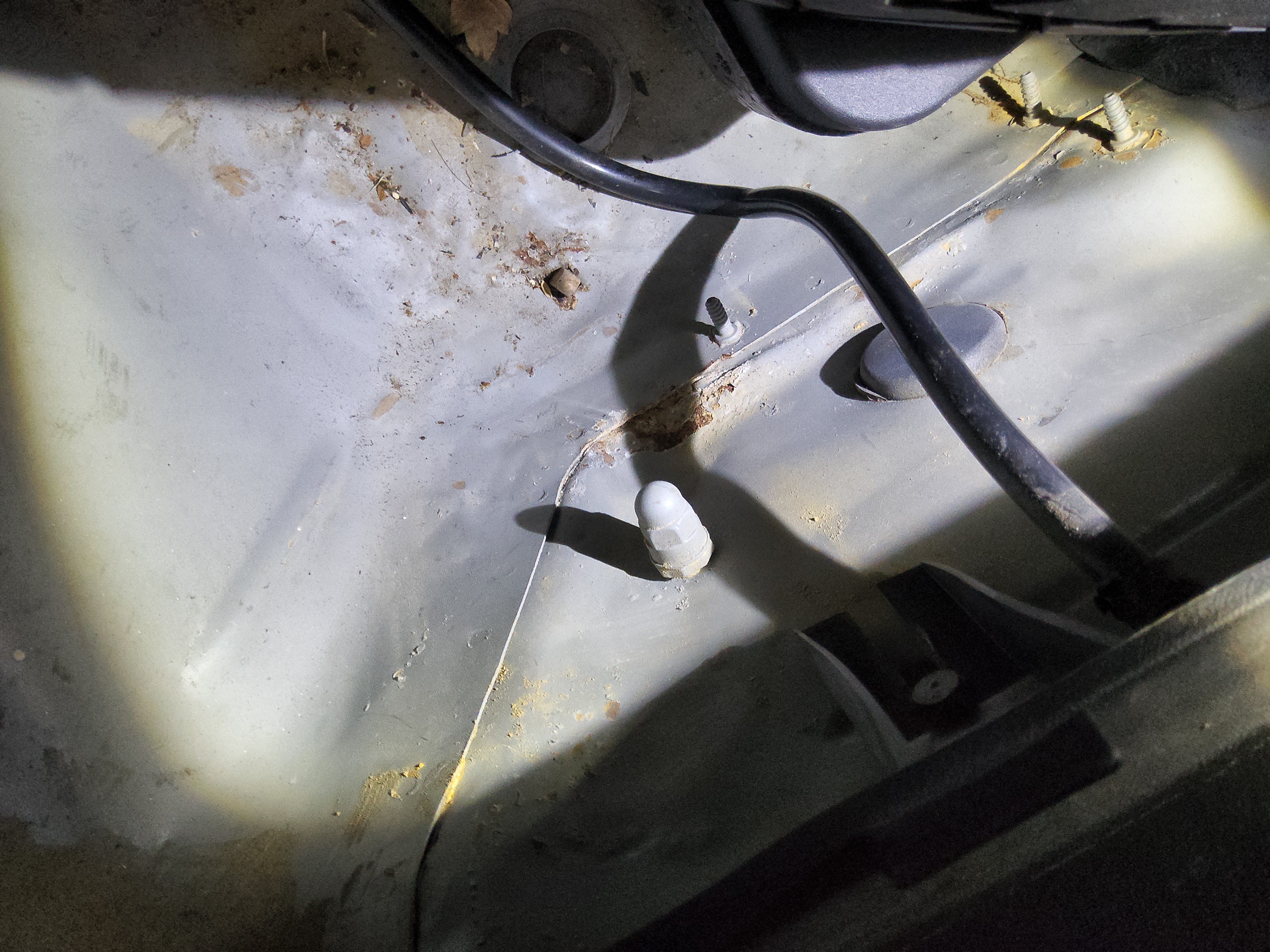 صورة إضافية