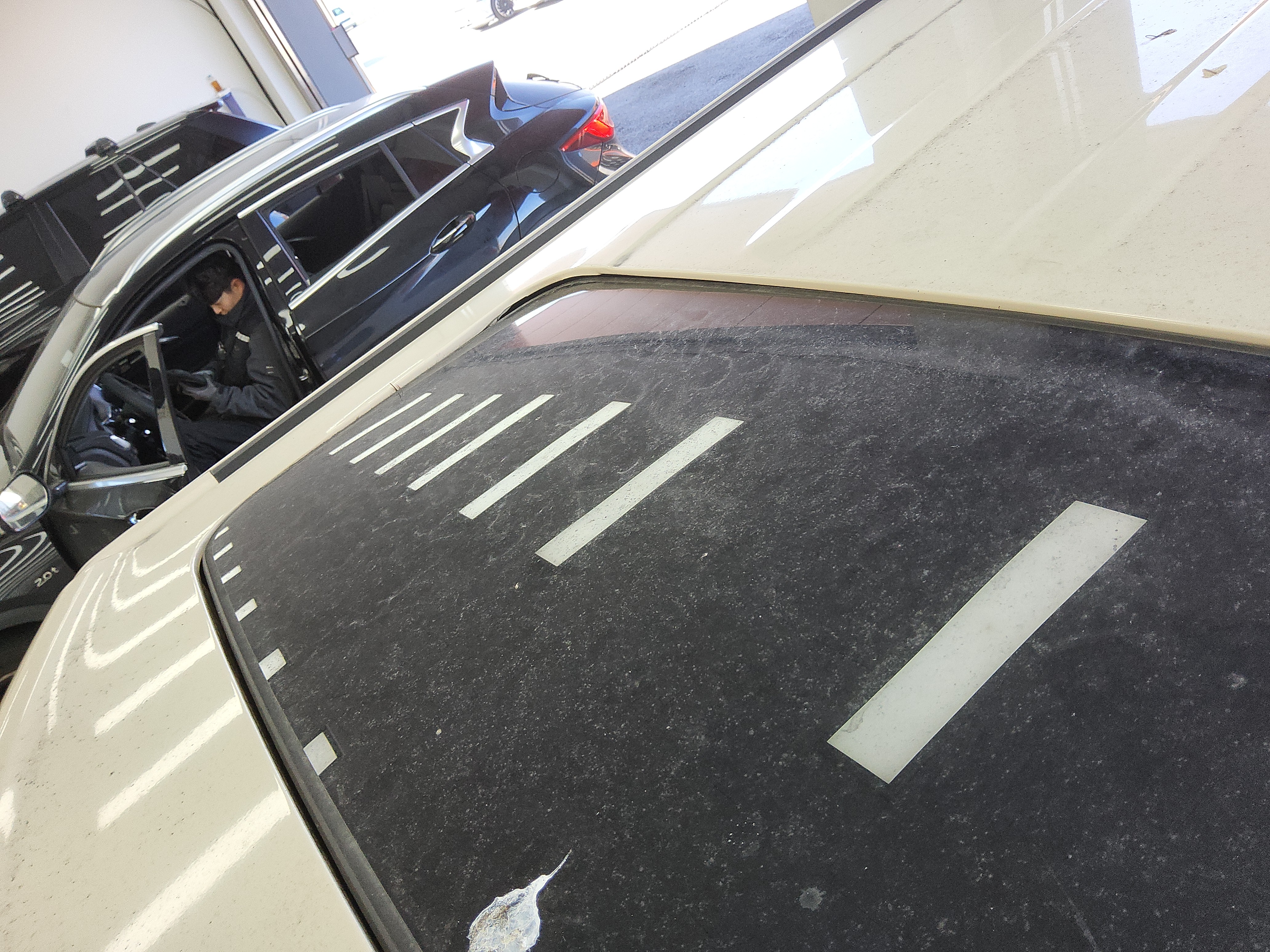 صورة إضافية