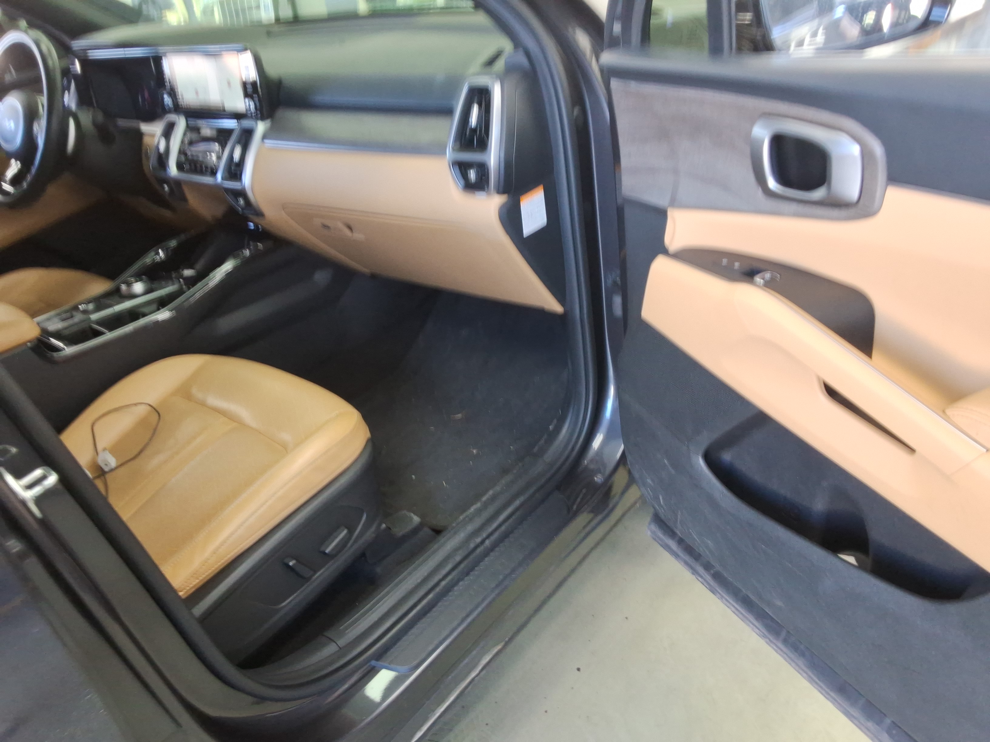 صورة إضافية