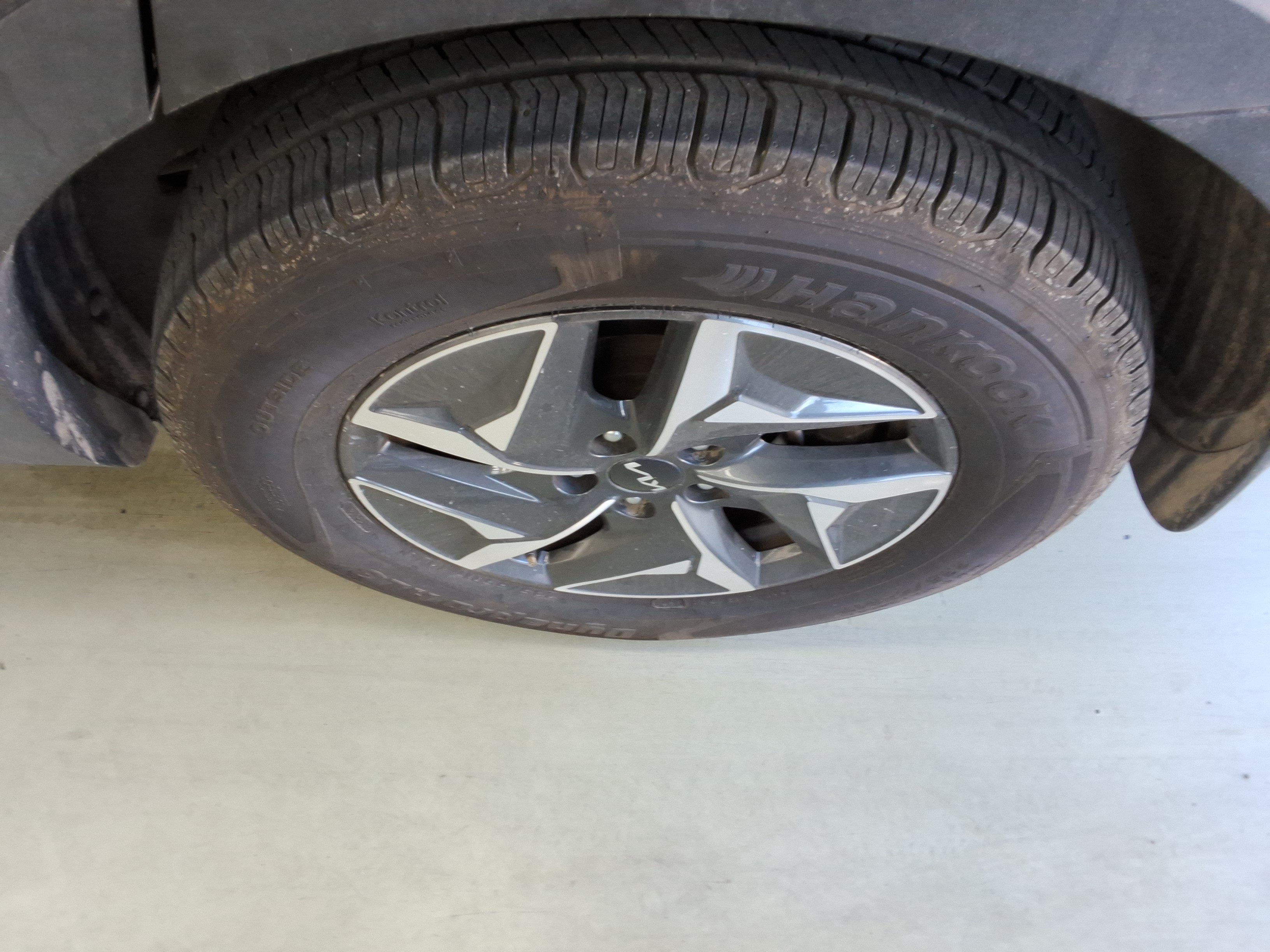 صورة إضافية