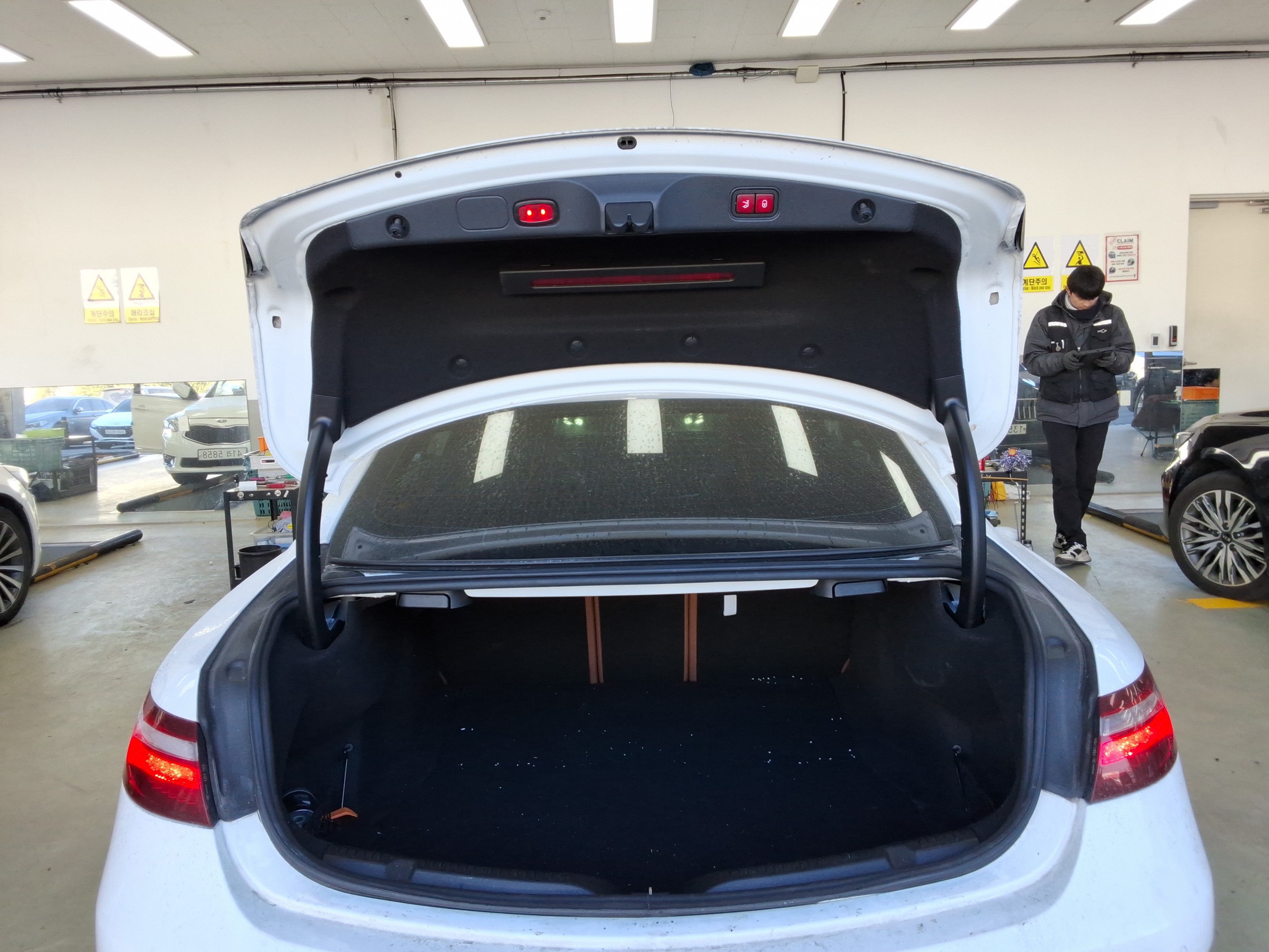 صورة إضافية