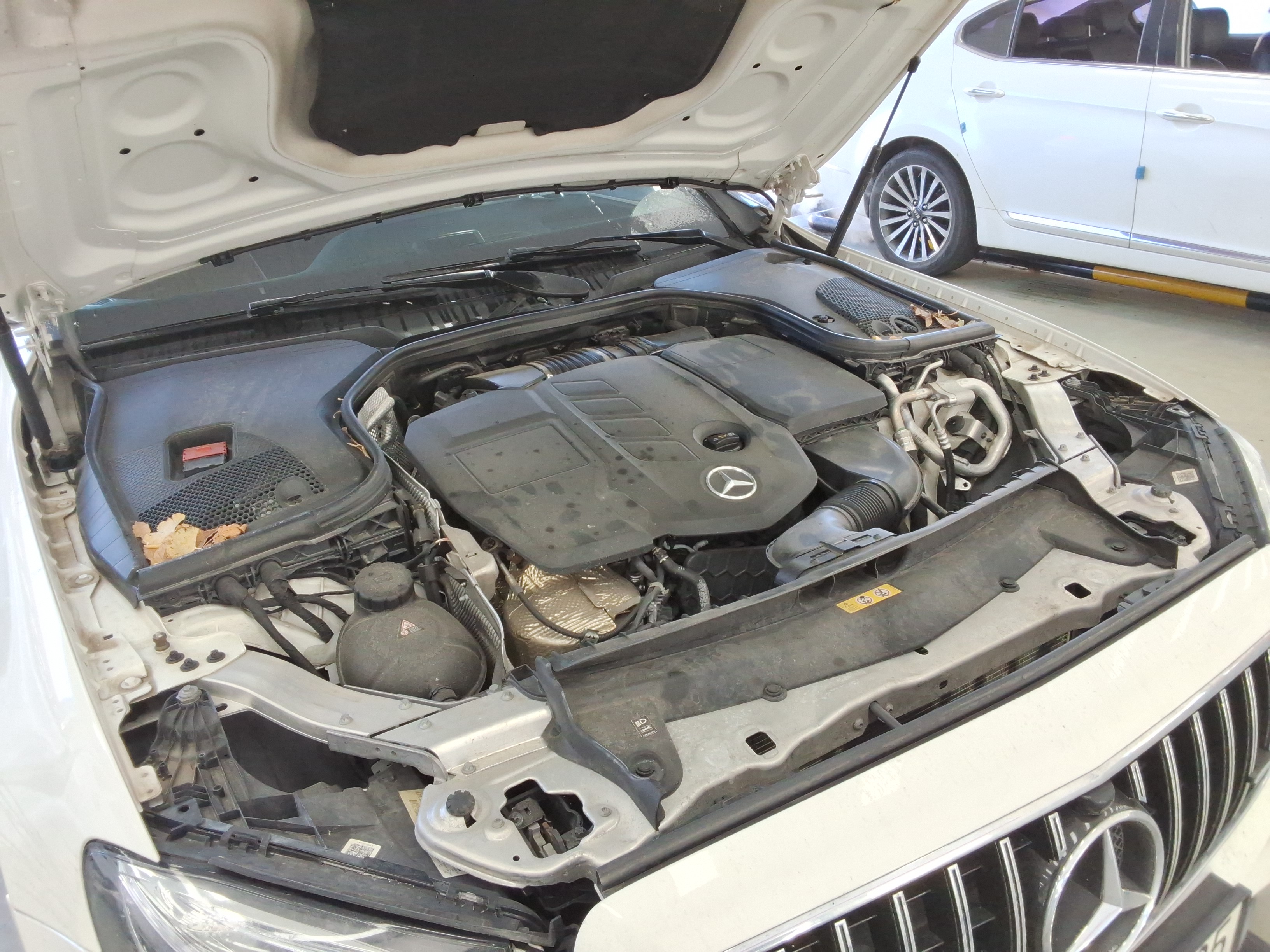 صورة إضافية