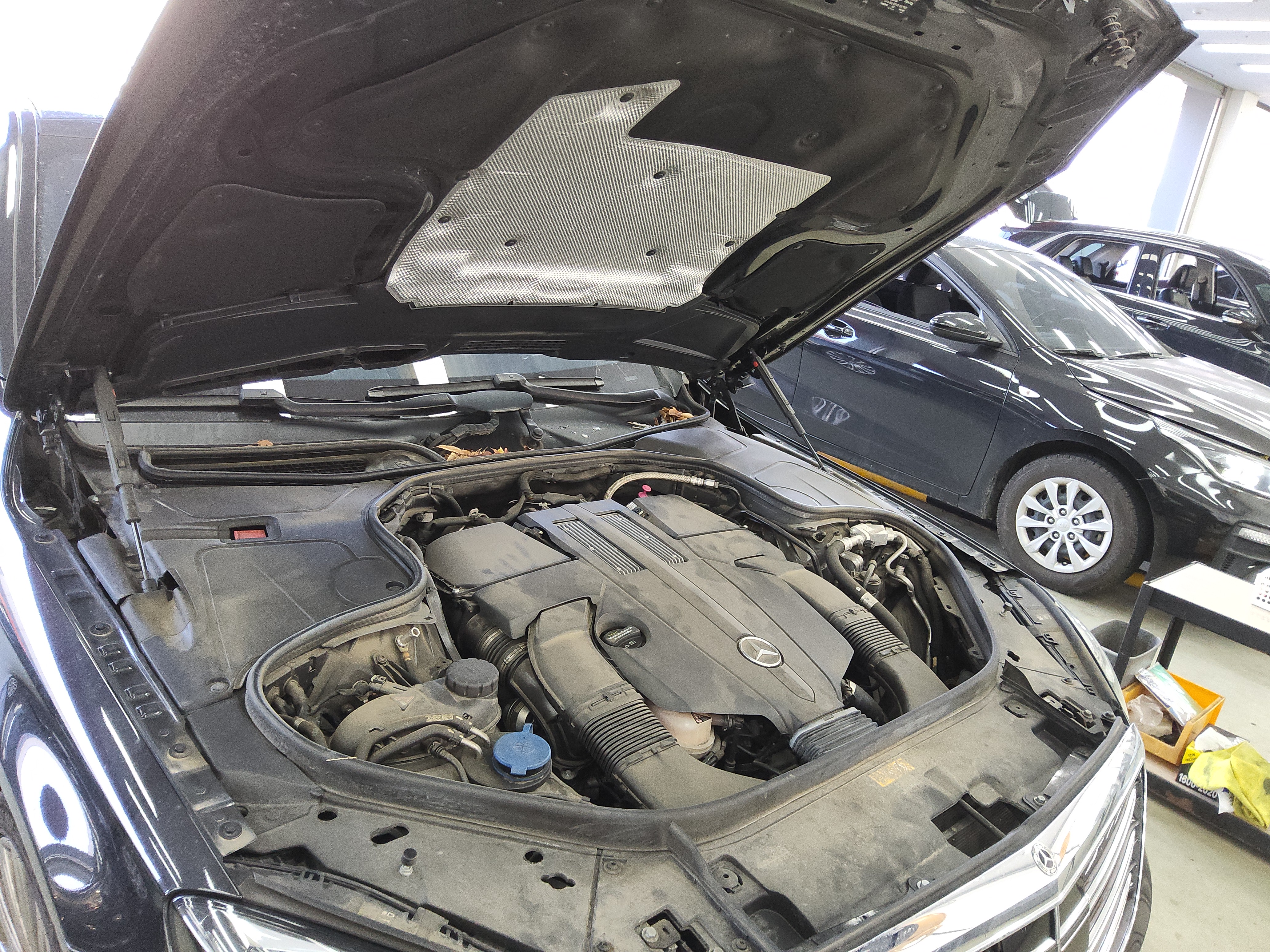 صورة إضافية