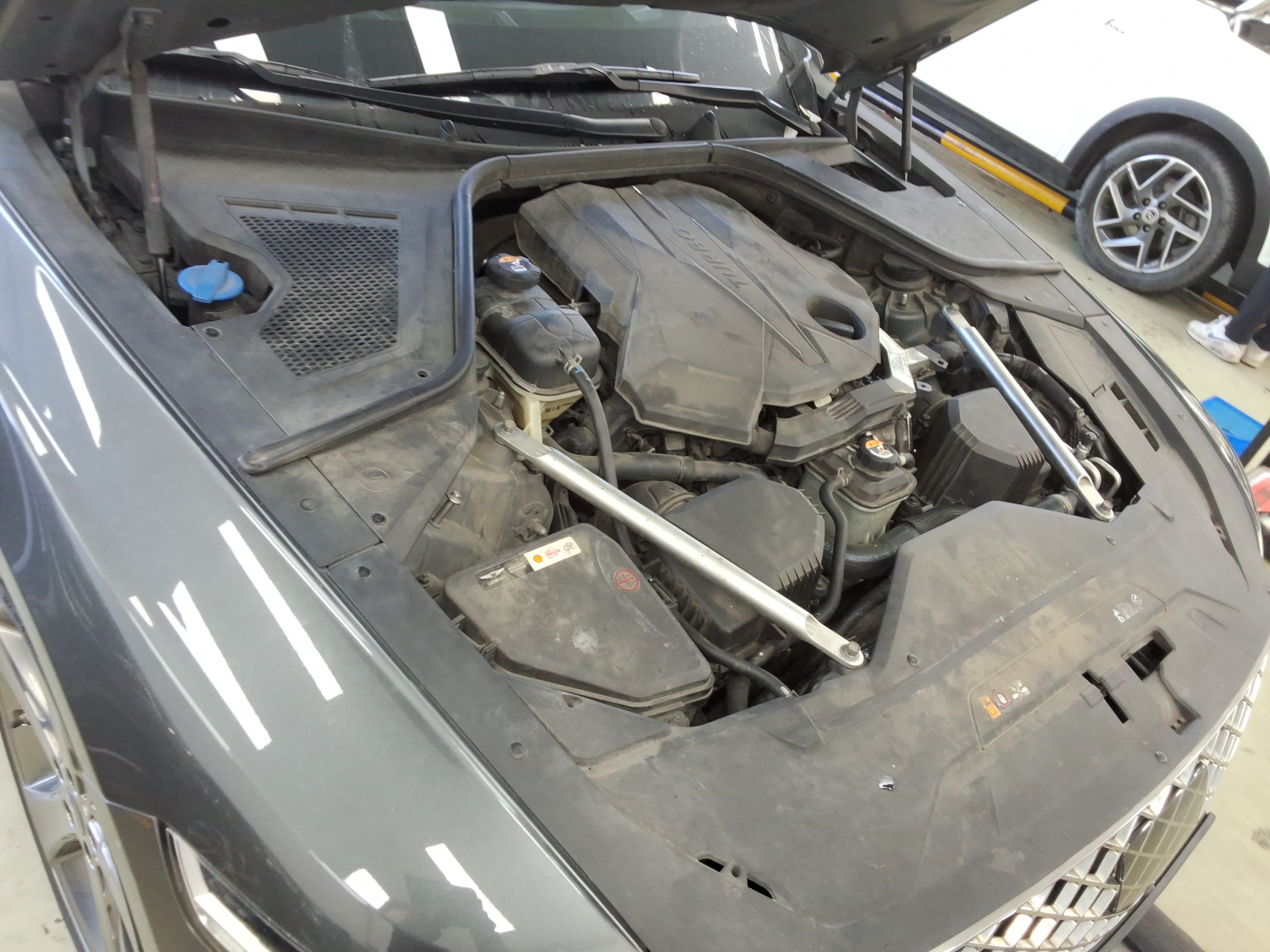 صورة إضافية