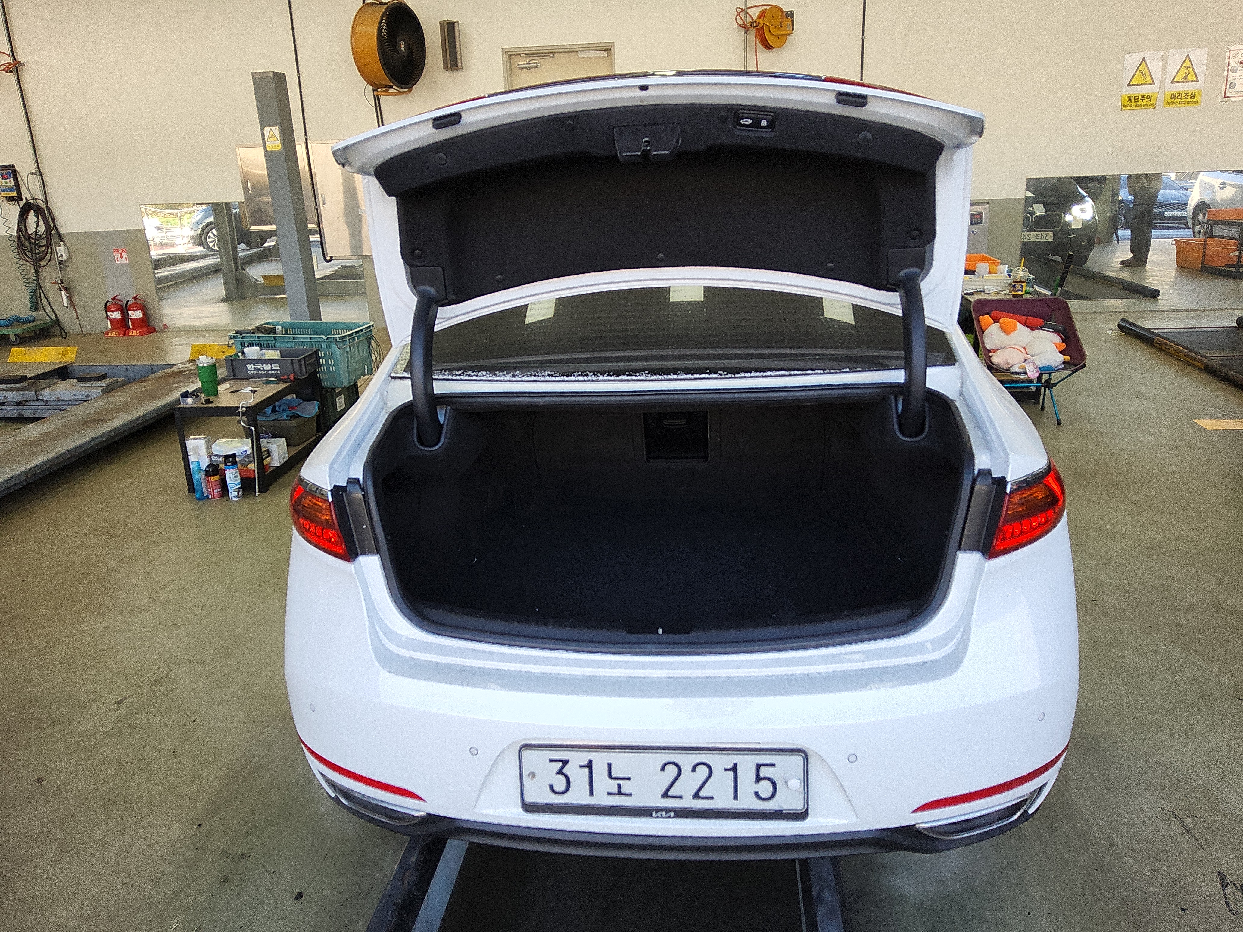 صورة إضافية