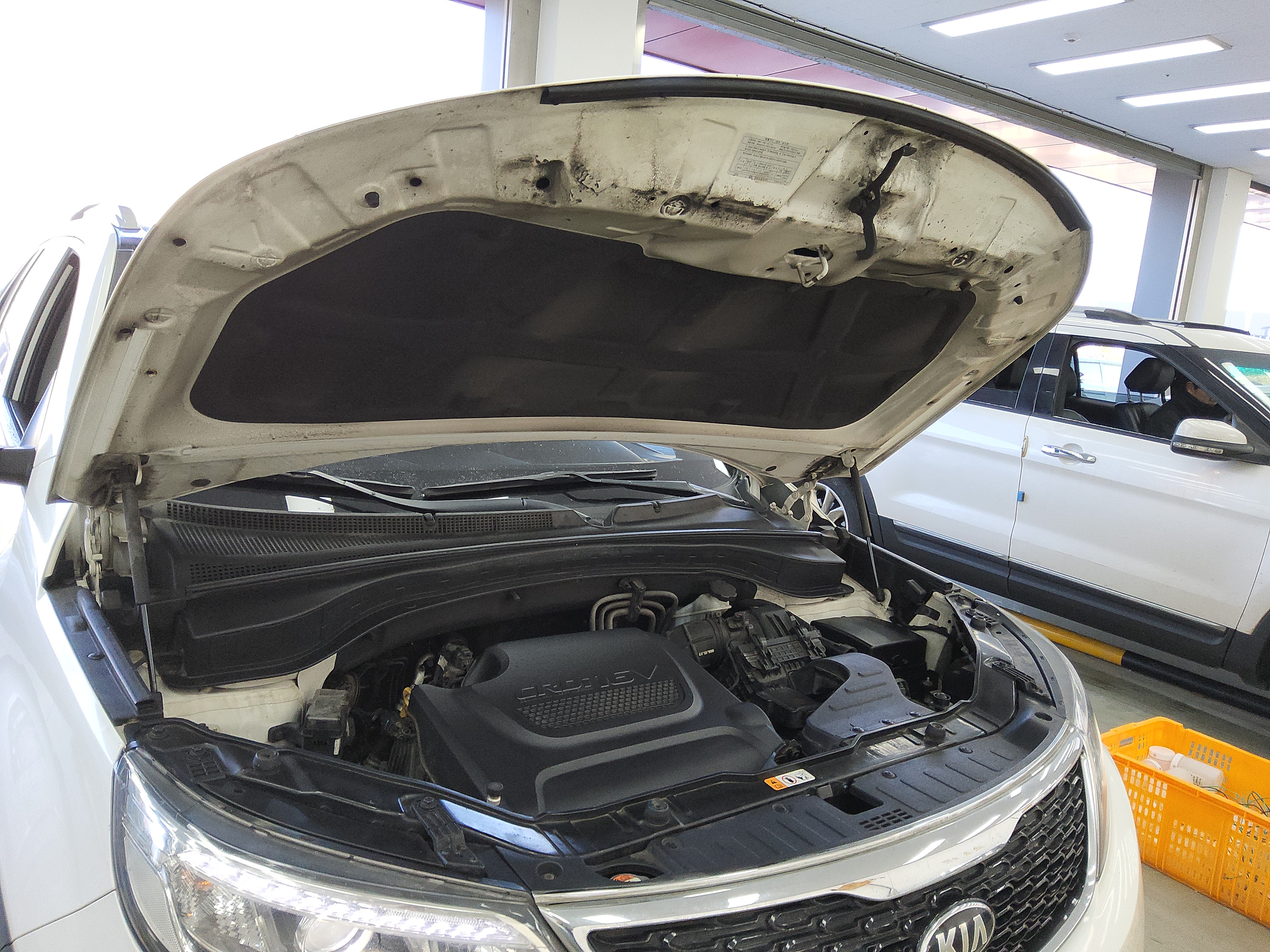 صورة إضافية