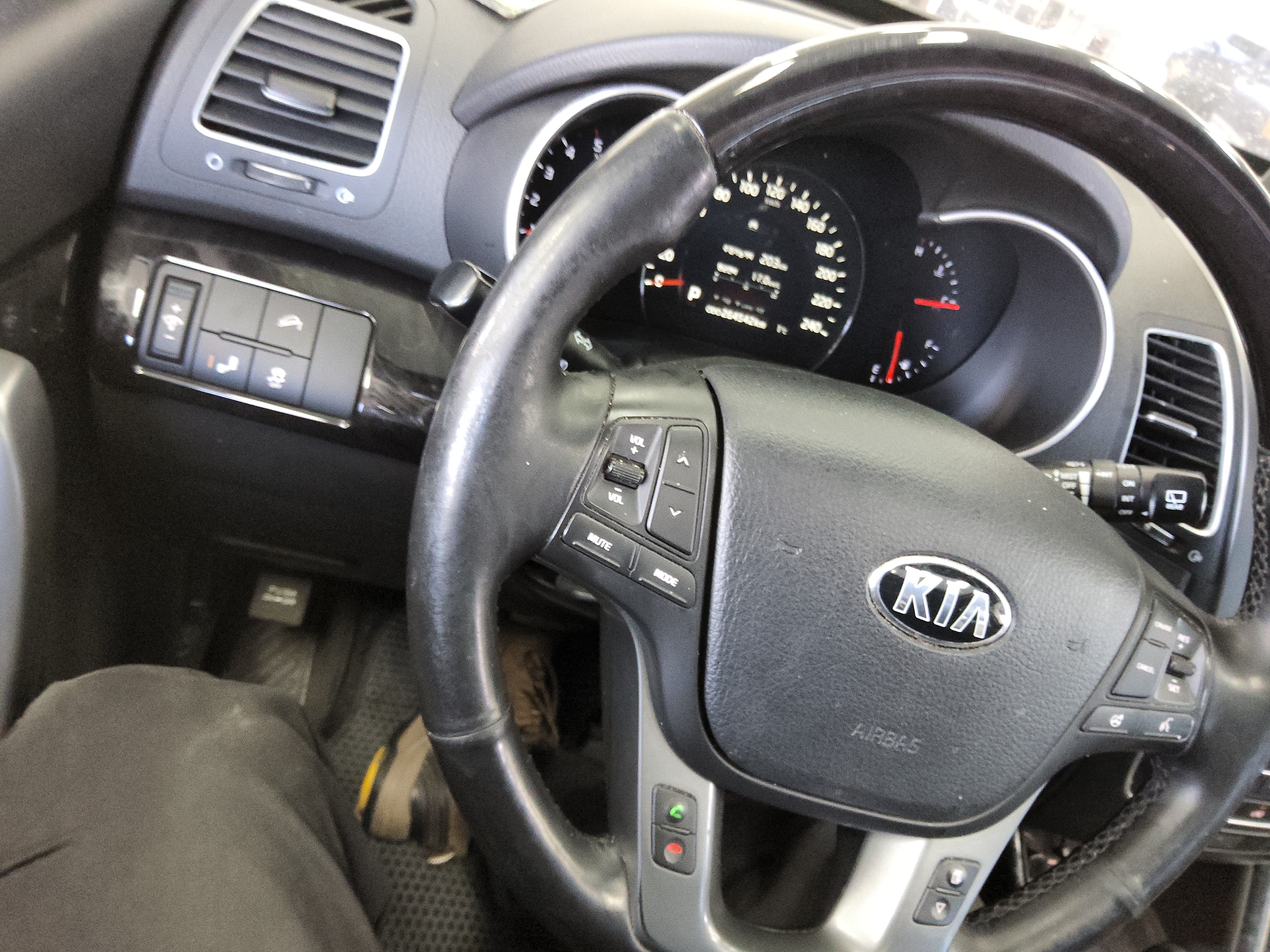 صورة إضافية