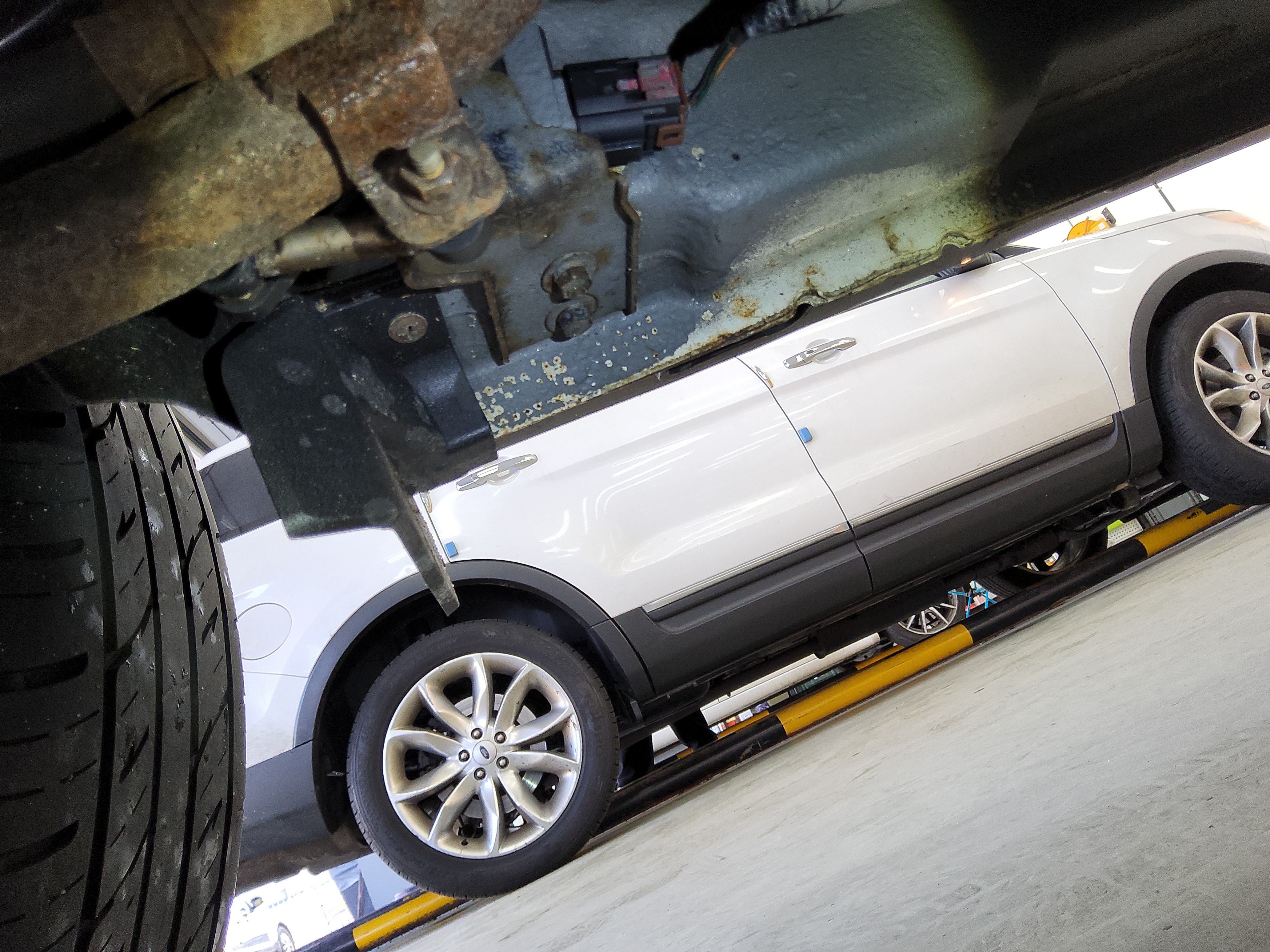 صورة إضافية