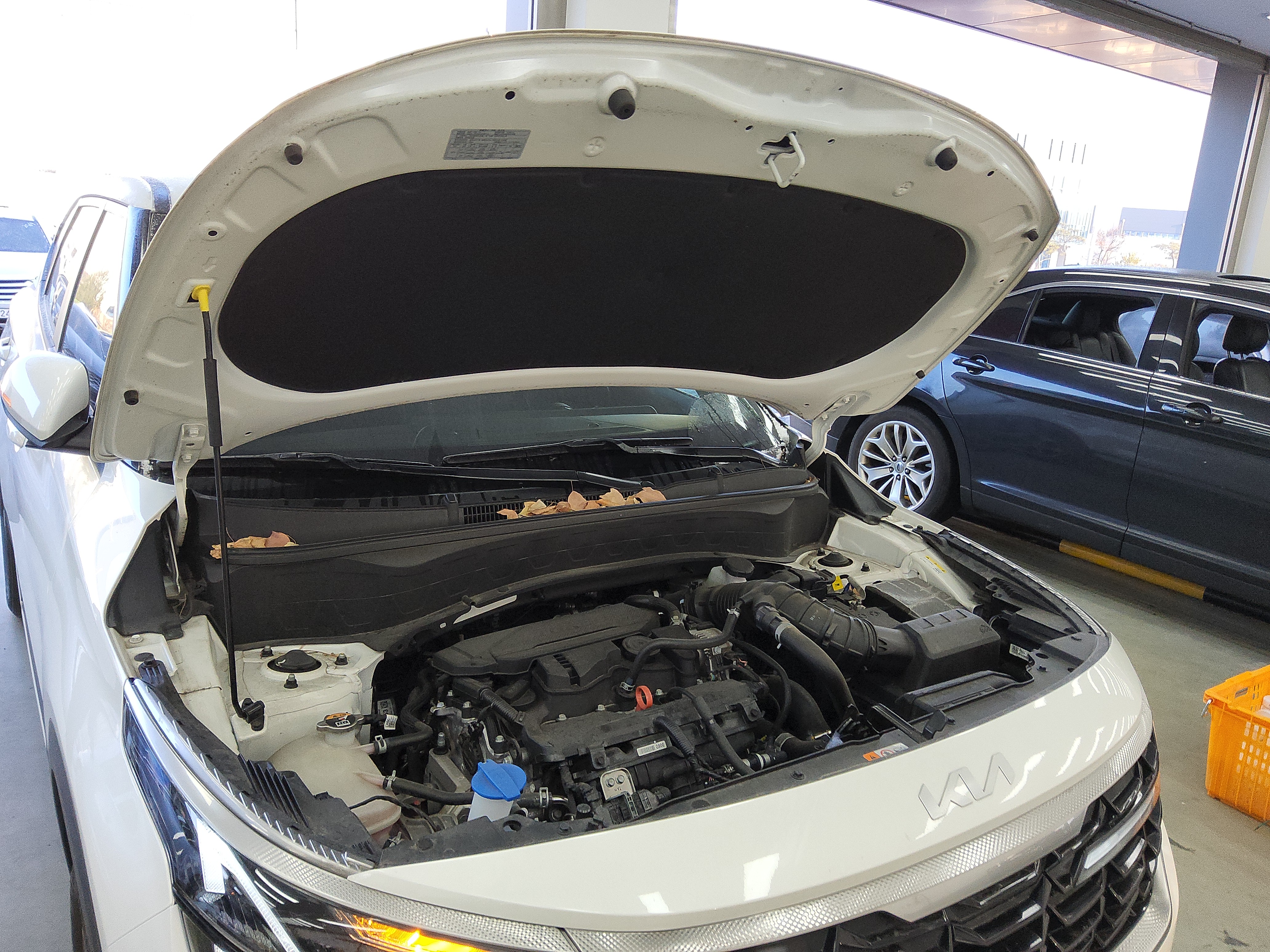 صورة إضافية