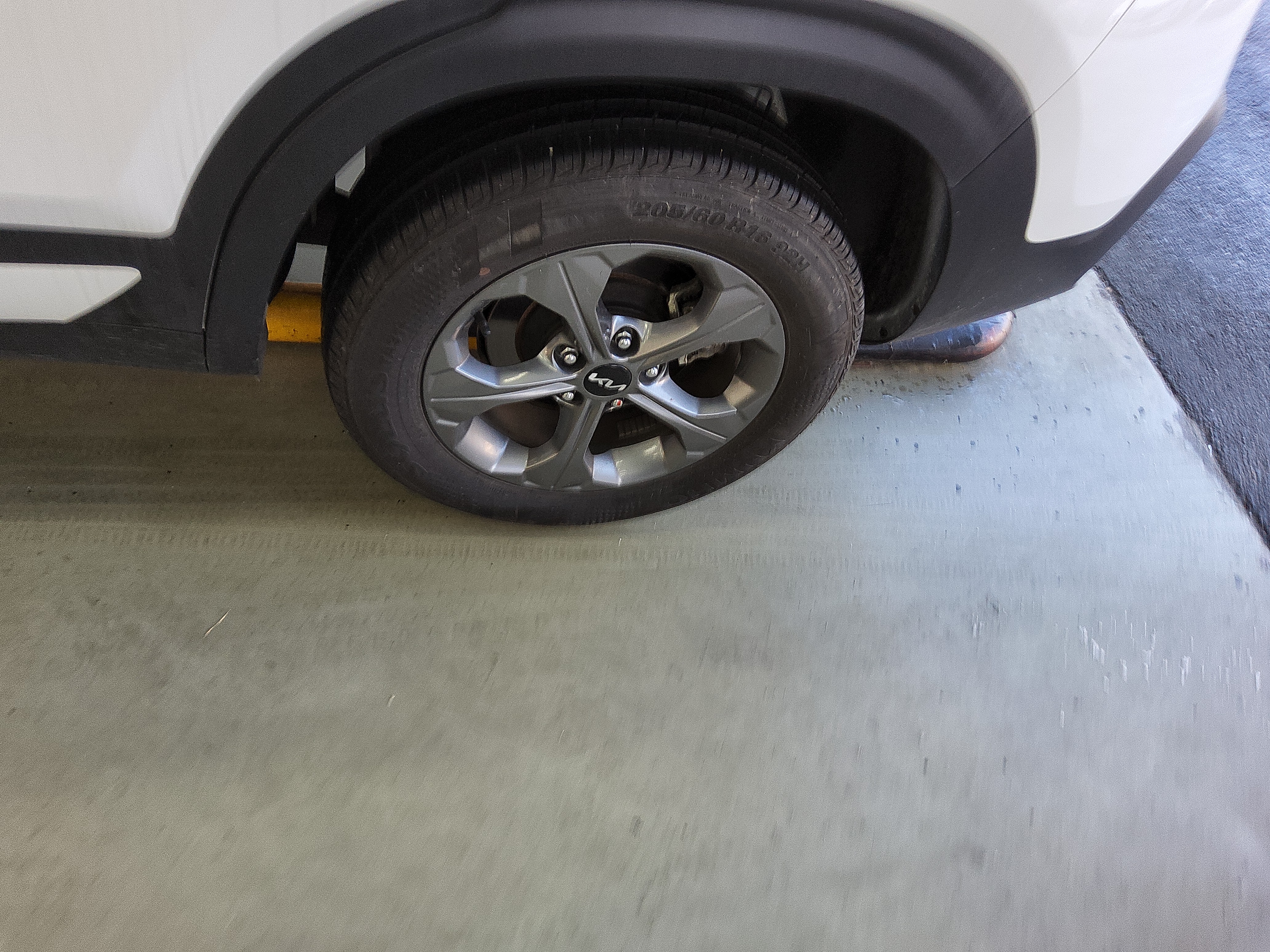 صورة إضافية