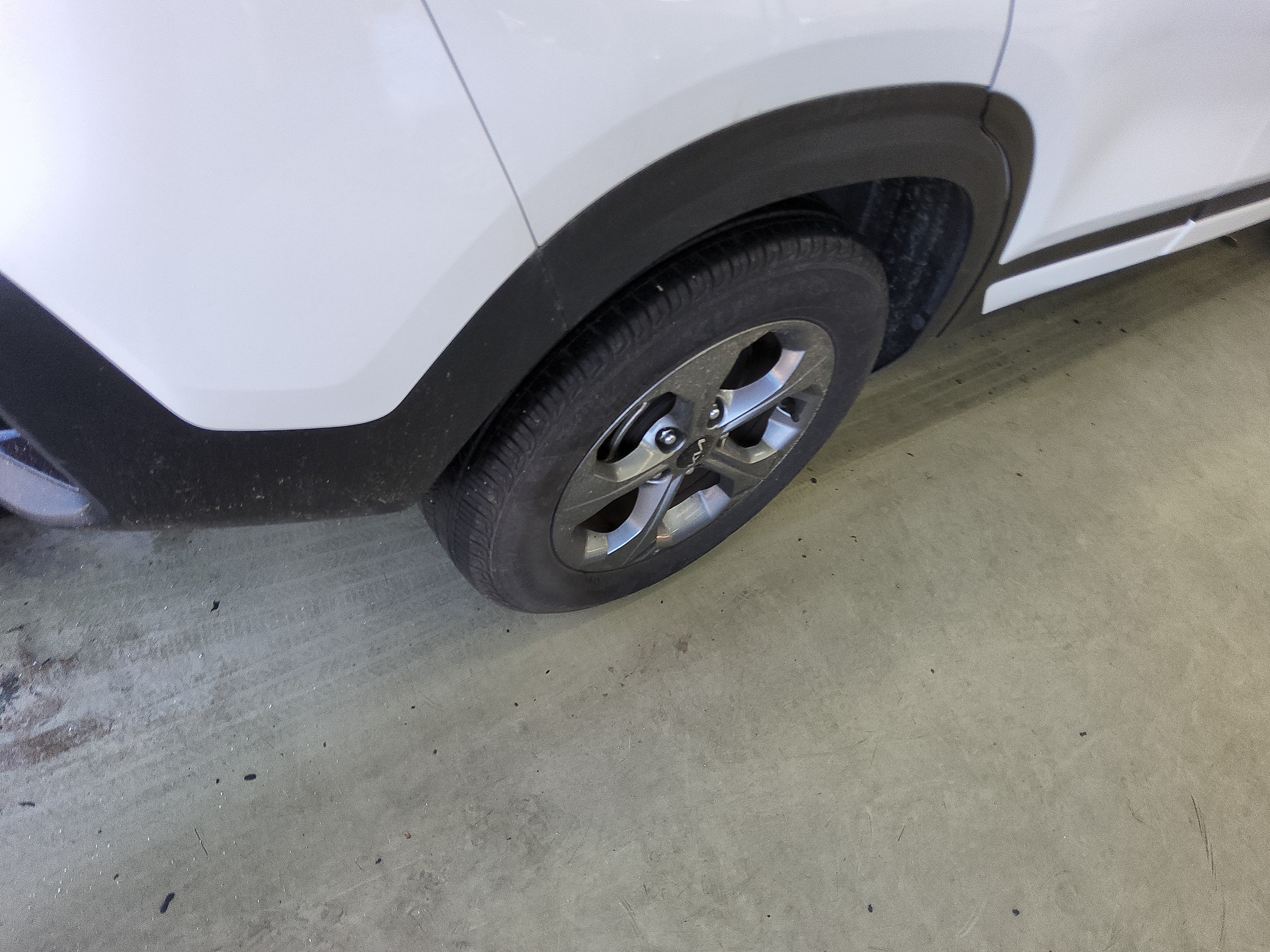 صورة إضافية