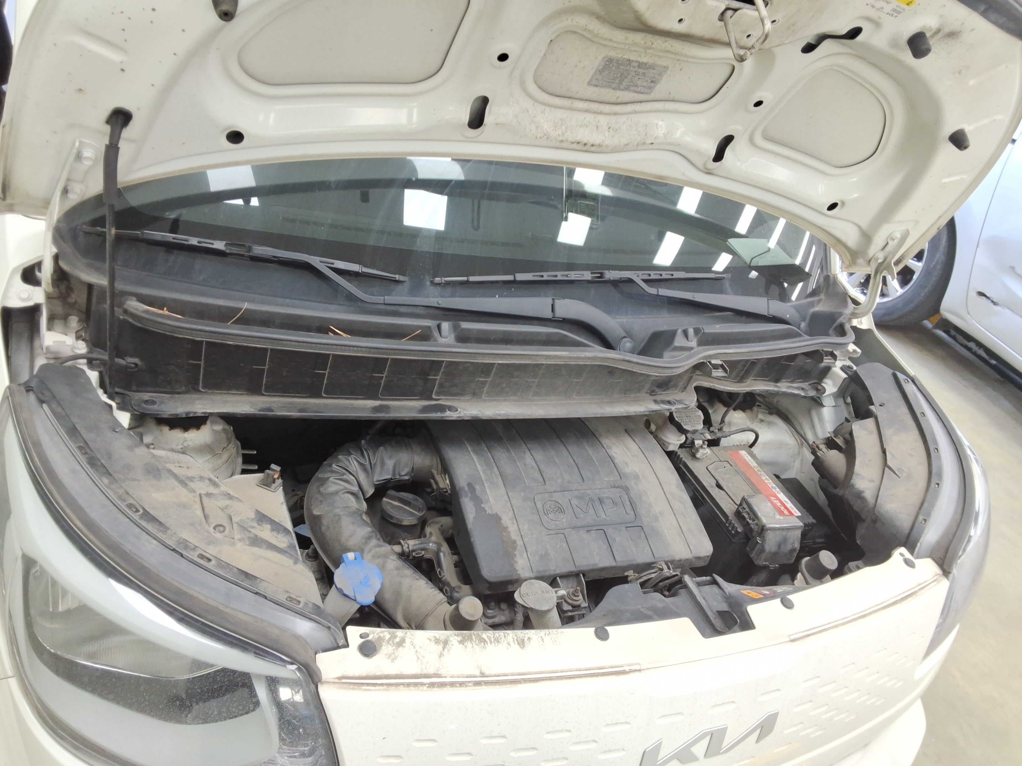 صورة إضافية