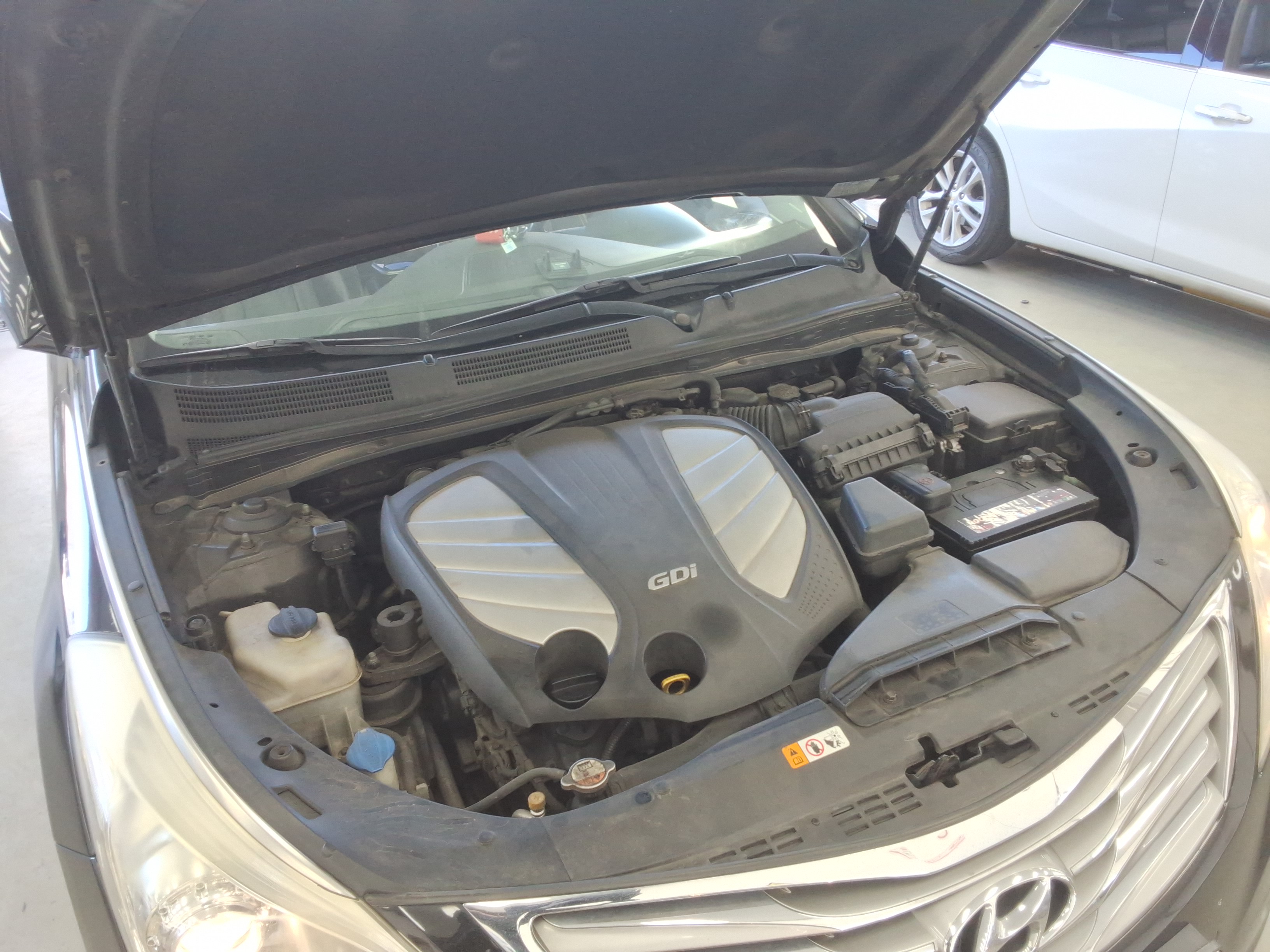 صورة إضافية