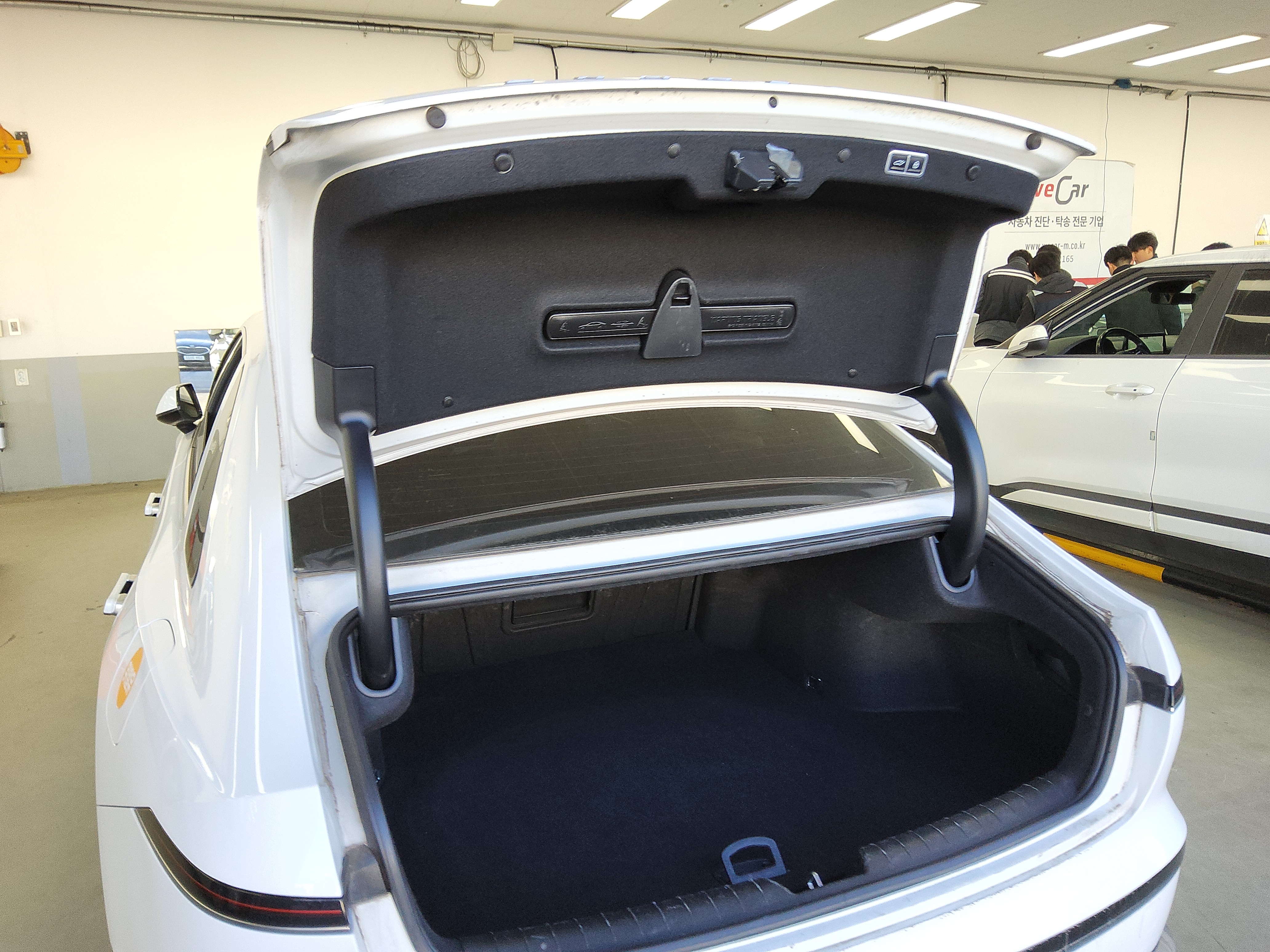 صورة إضافية