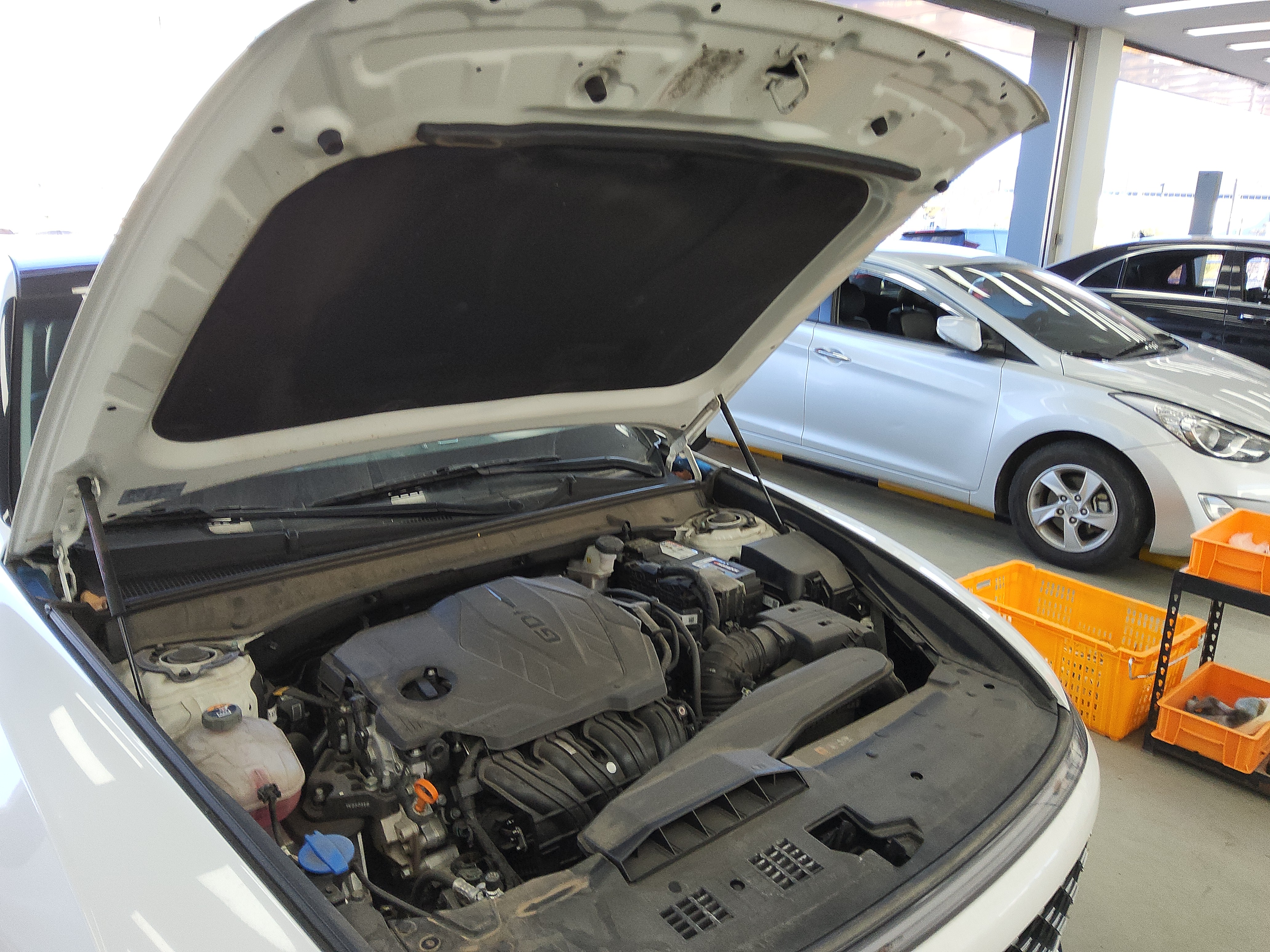 صورة إضافية