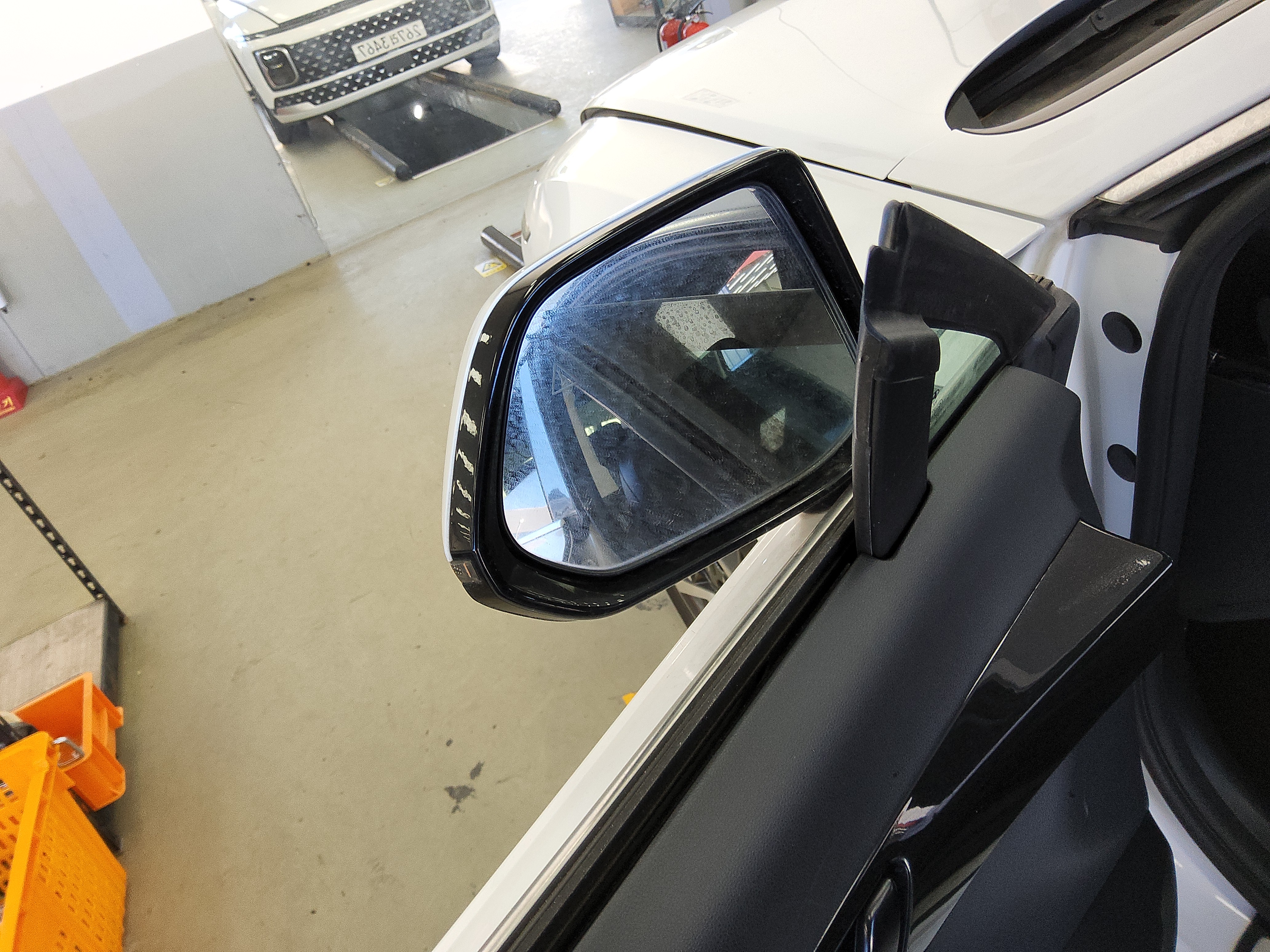 صورة إضافية